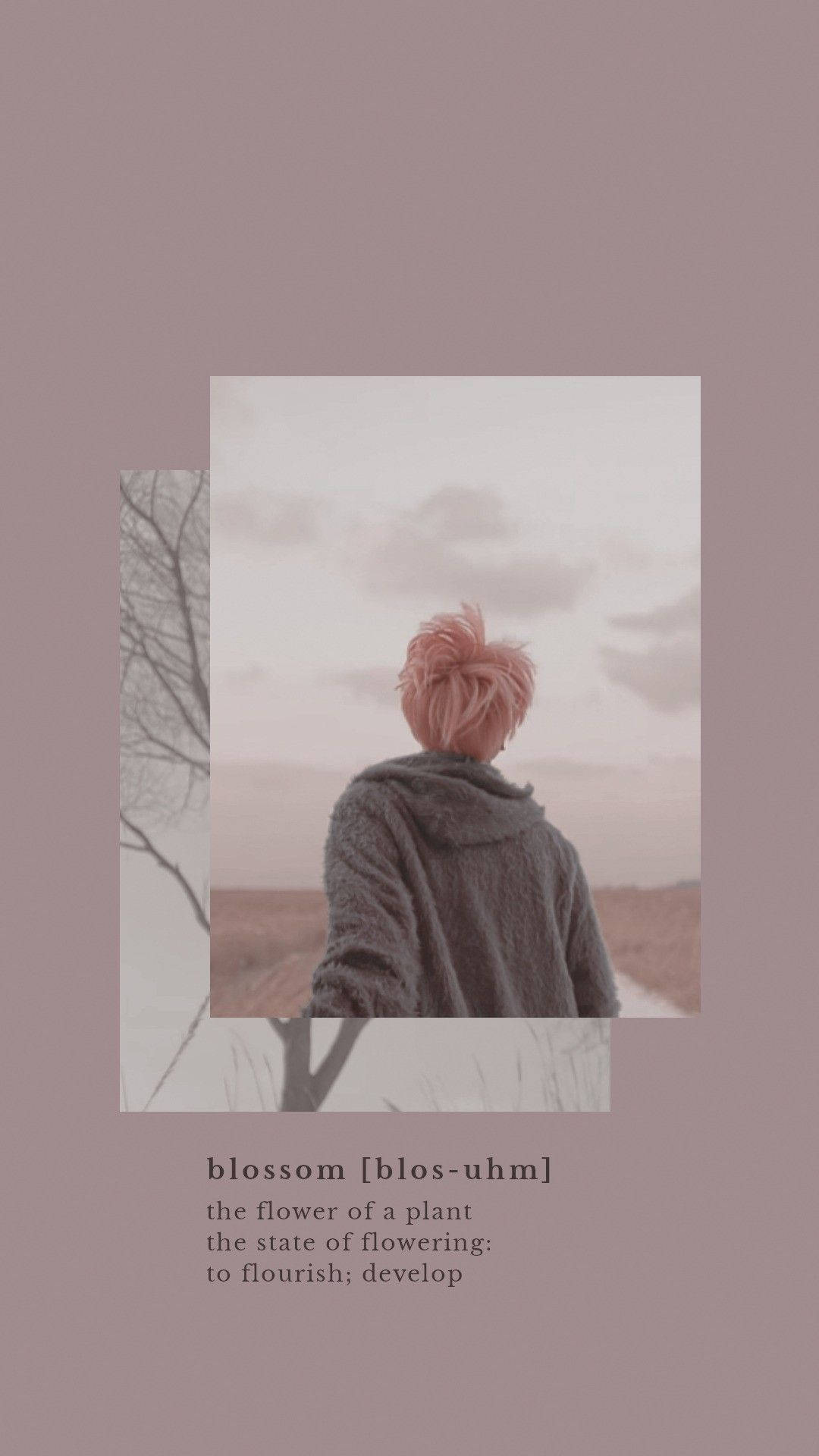 BTS Jimin Hoa Nở Thẩm Mỹ Hình nền