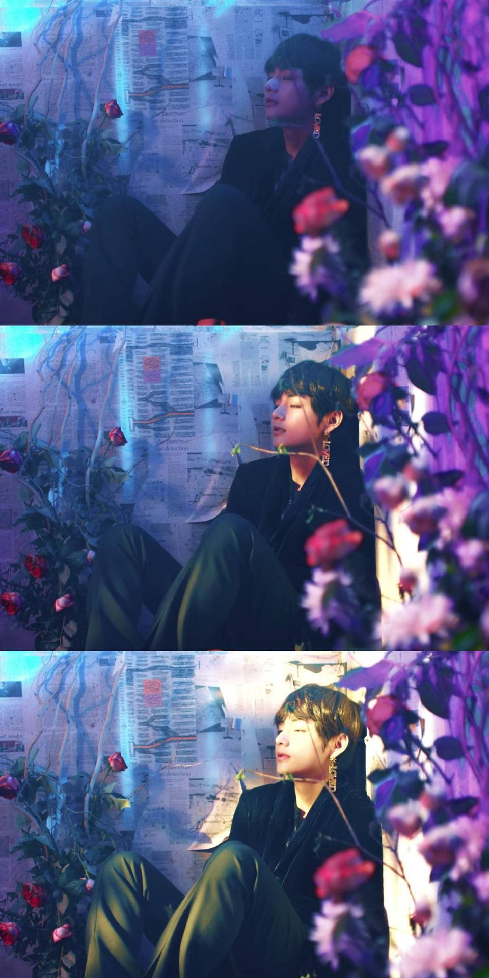 BTS V tường hoa thẩm mỹ Hình nền
