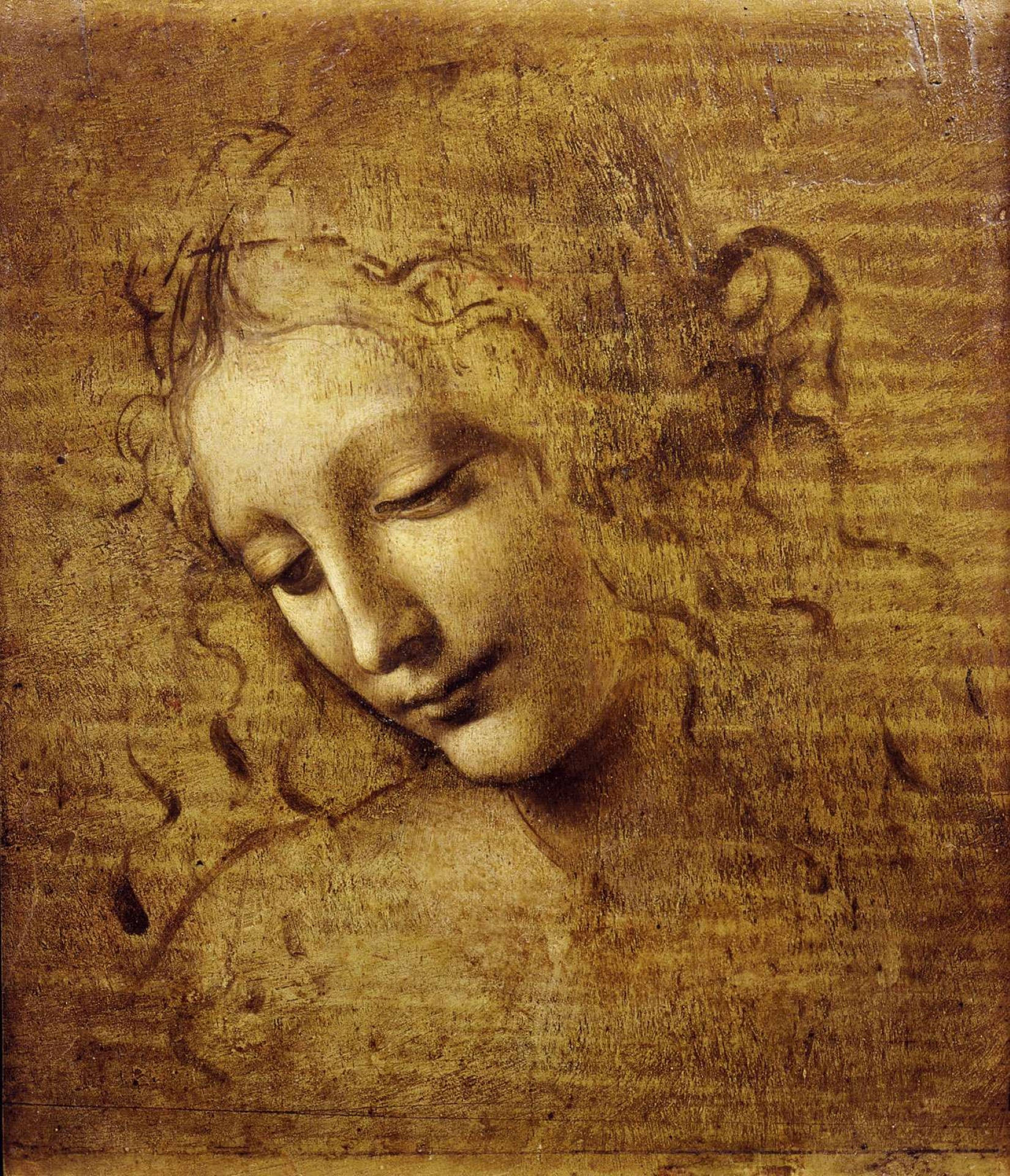 Bức tranh Đầu phụ nữ của Leonardo Da Vinci Hình nền