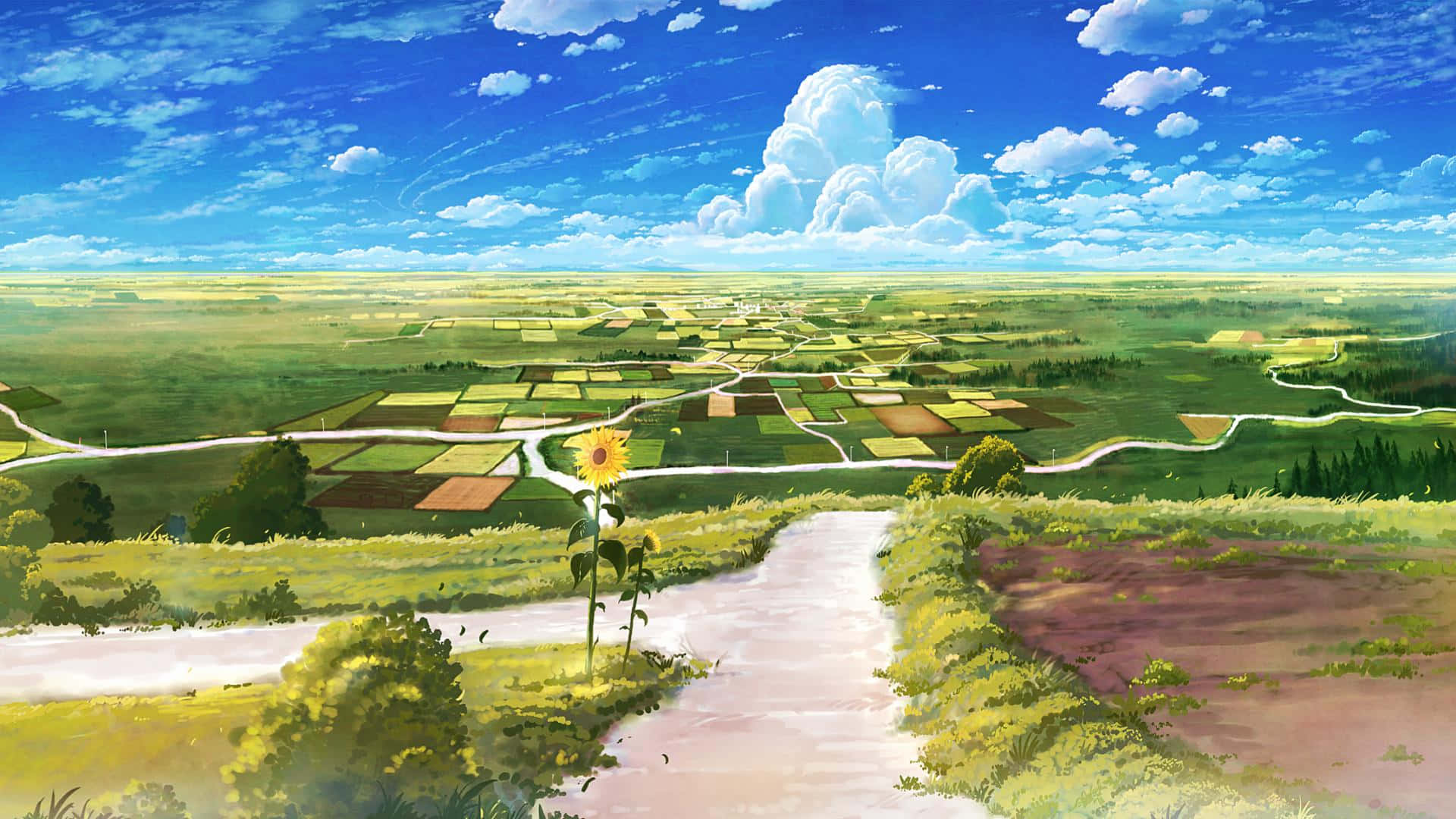 Bước Vào Thế Giới Anime Diệu Kỳ Hình nền