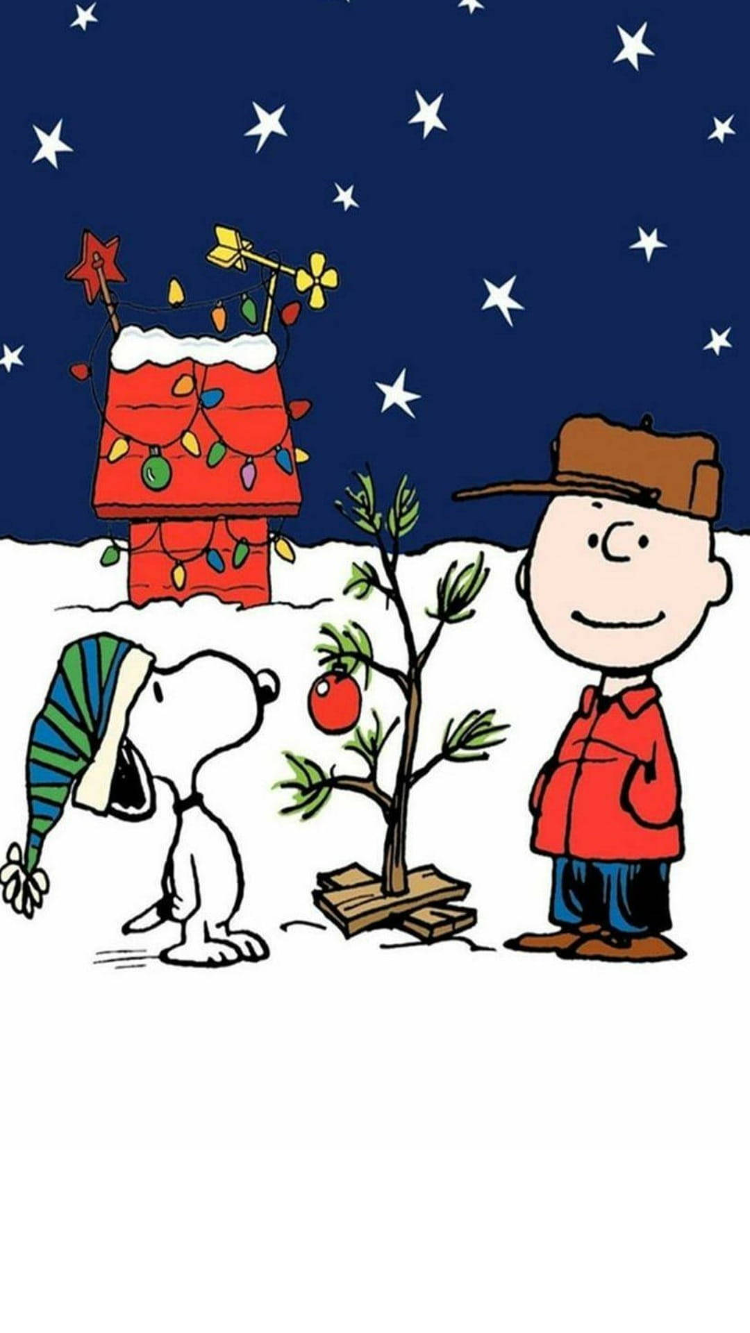 Buổi Tối Giáng Sinh Của Snoopy Hình nền