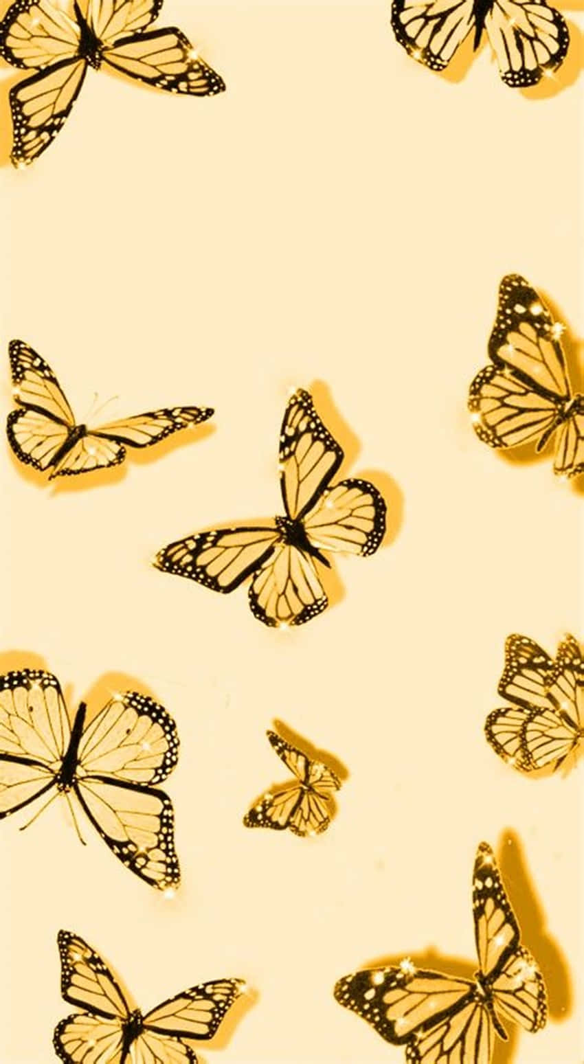 Bướm Đen Vàng Dễ Thương Hình nền