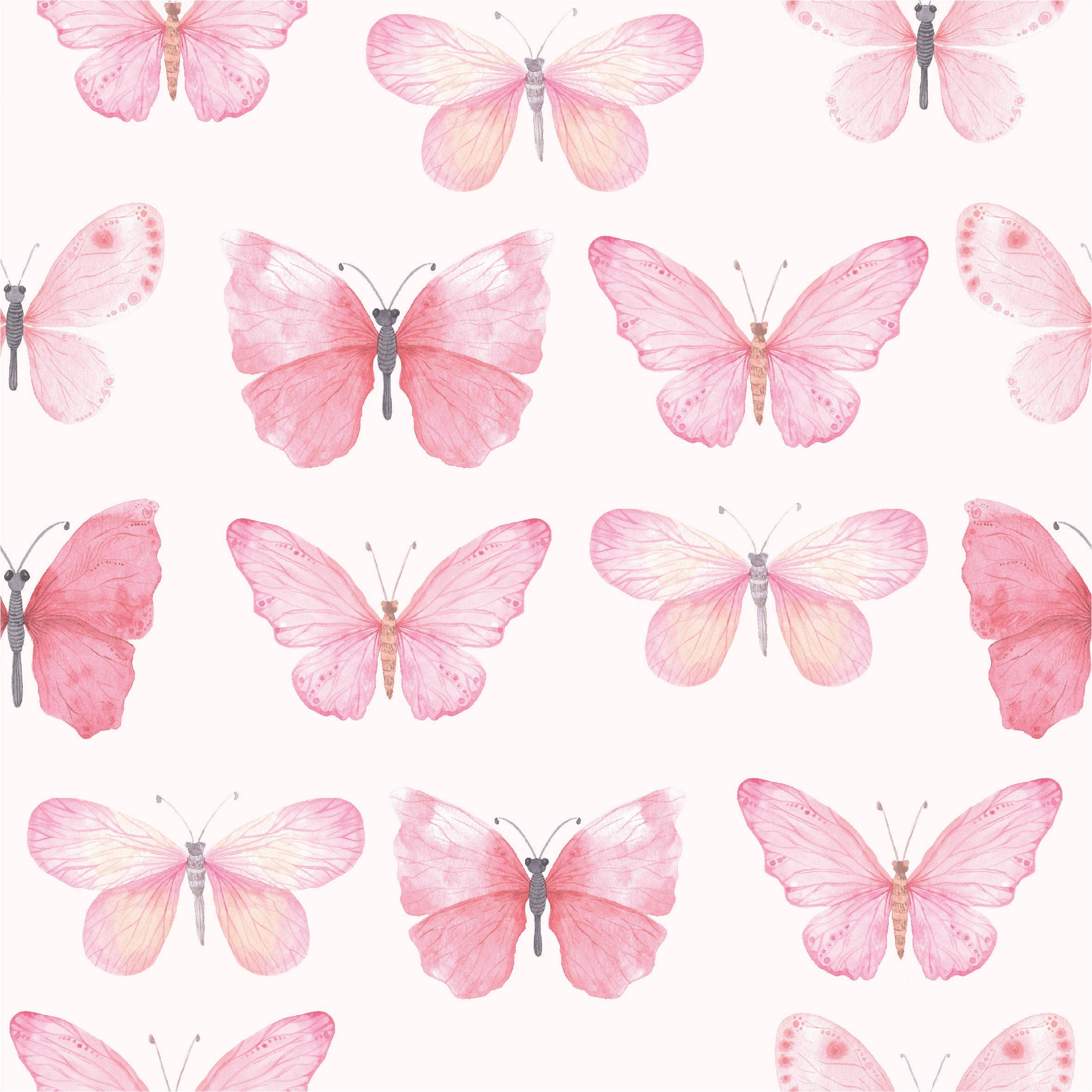Bướm Pastel Tông Hồng Hình nền