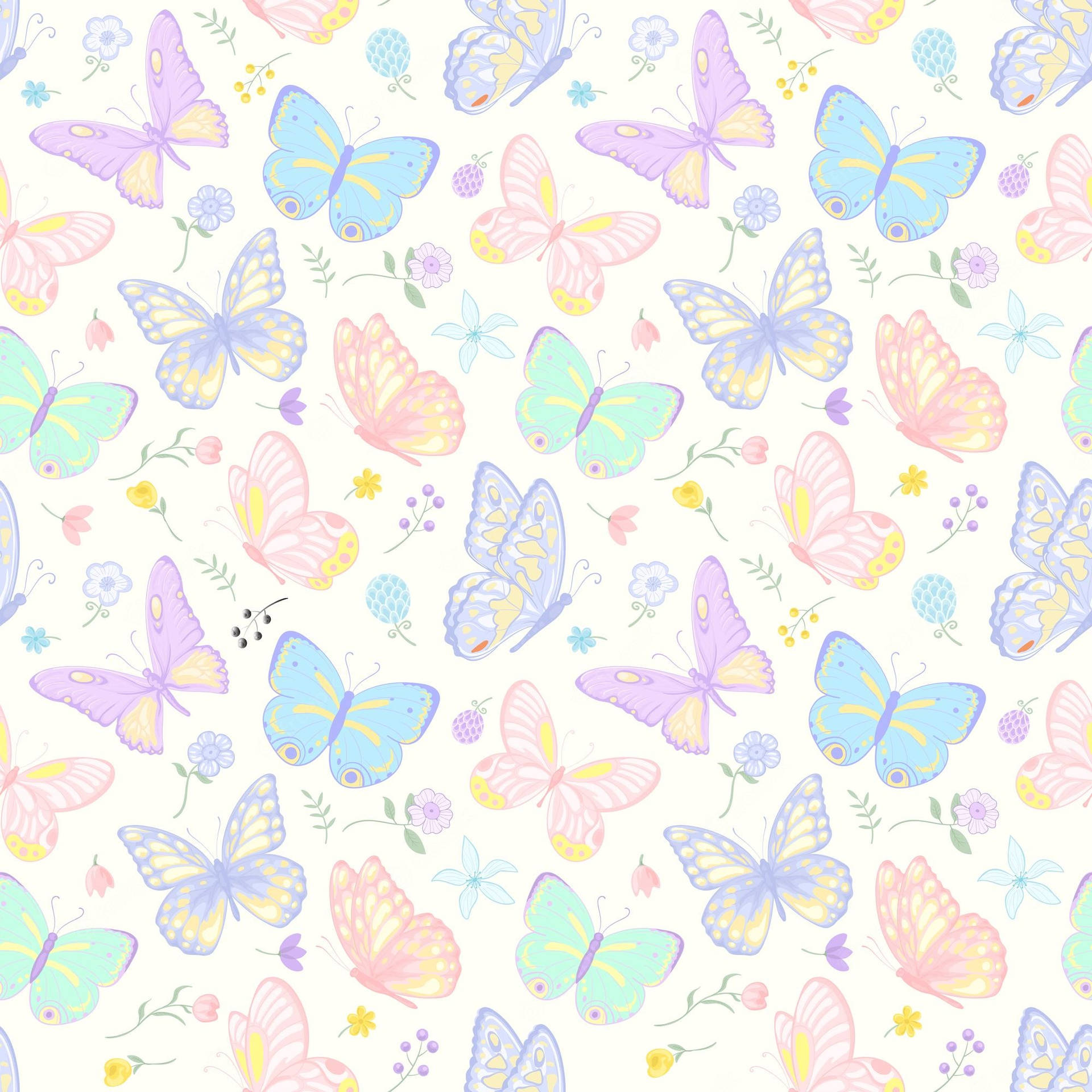Bướm Pastel