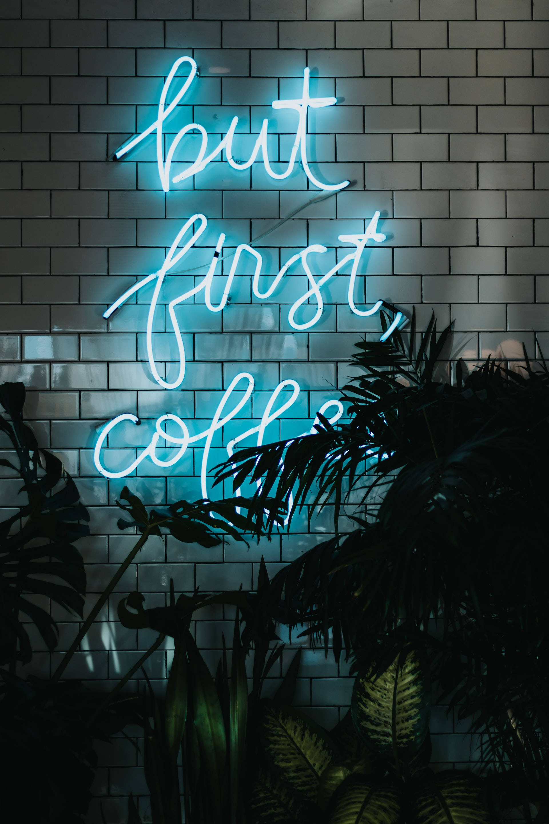 "But First Coffee" trên iPhone xanh neon Hình nền