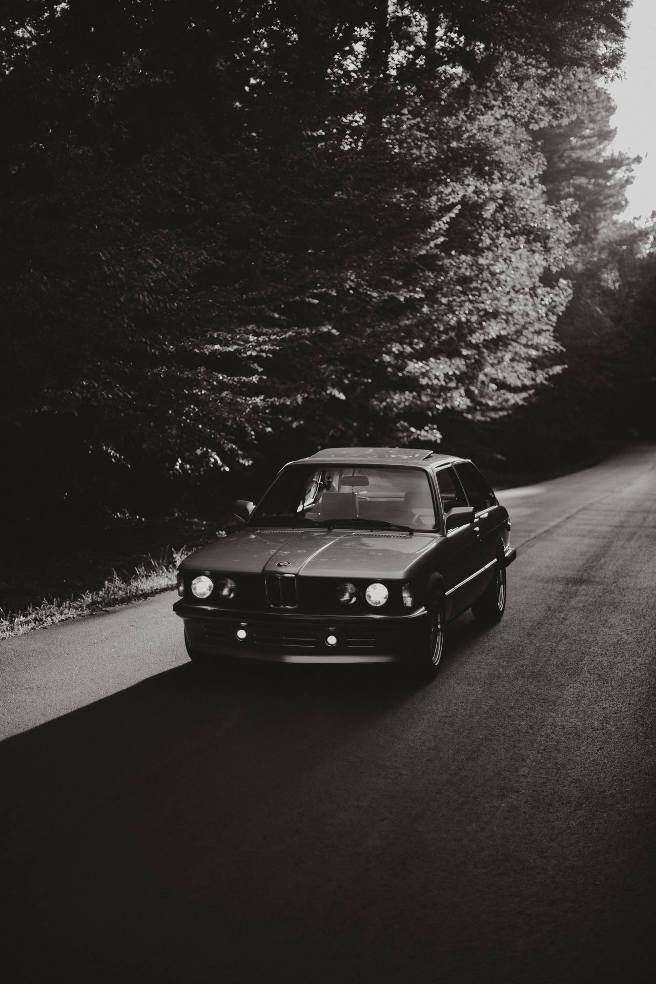 Hình nền đen trắng của chiếc BMW cũ trên đường