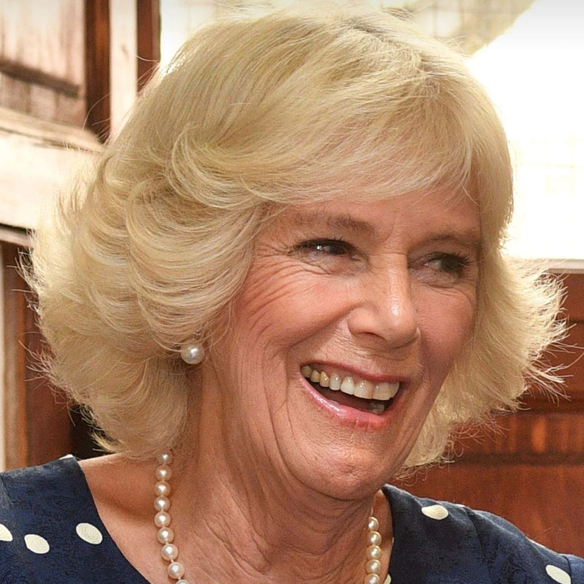 Camilla cười di động Hình nền