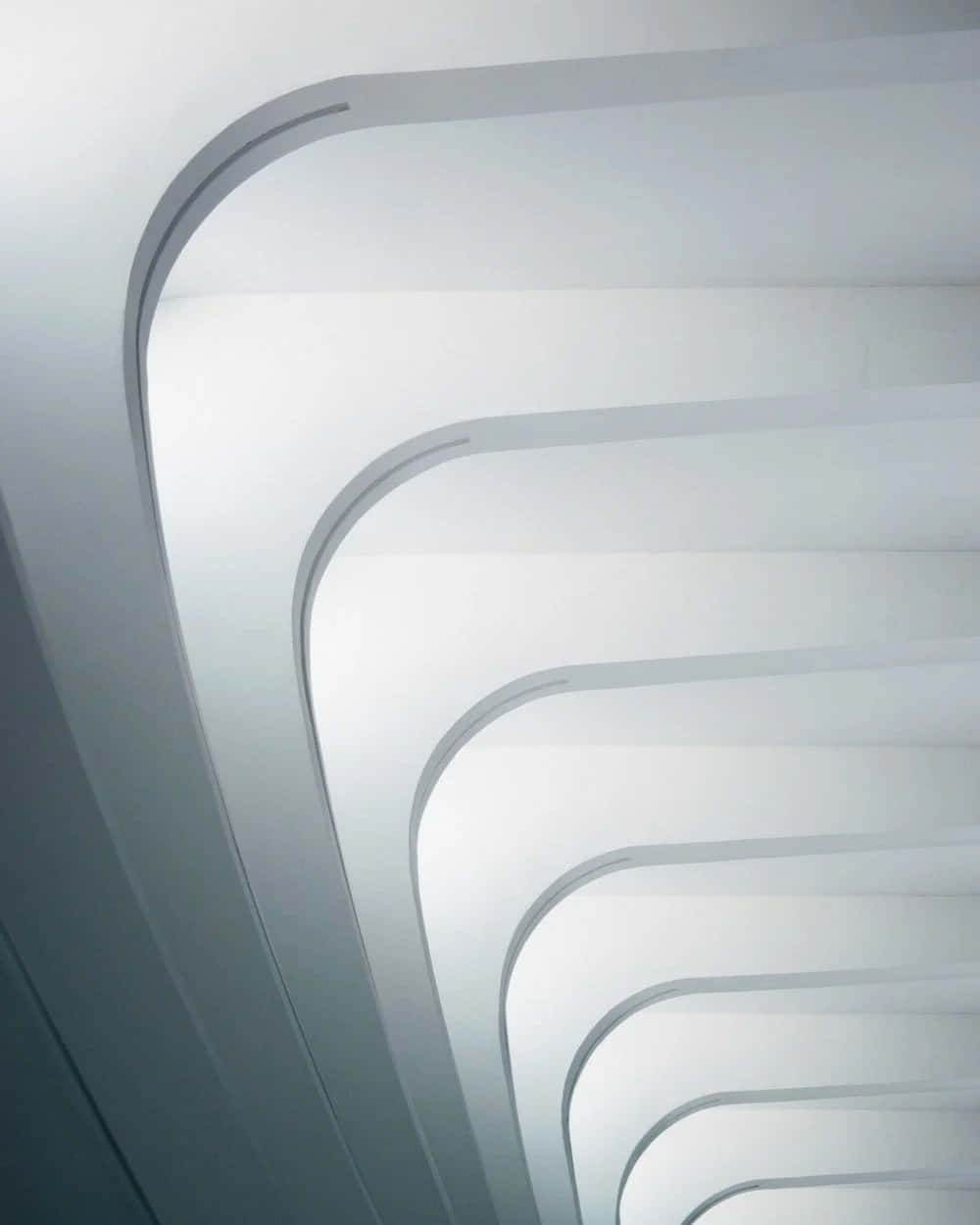 Cận Cảnh Màn Hình Retina Hình nền