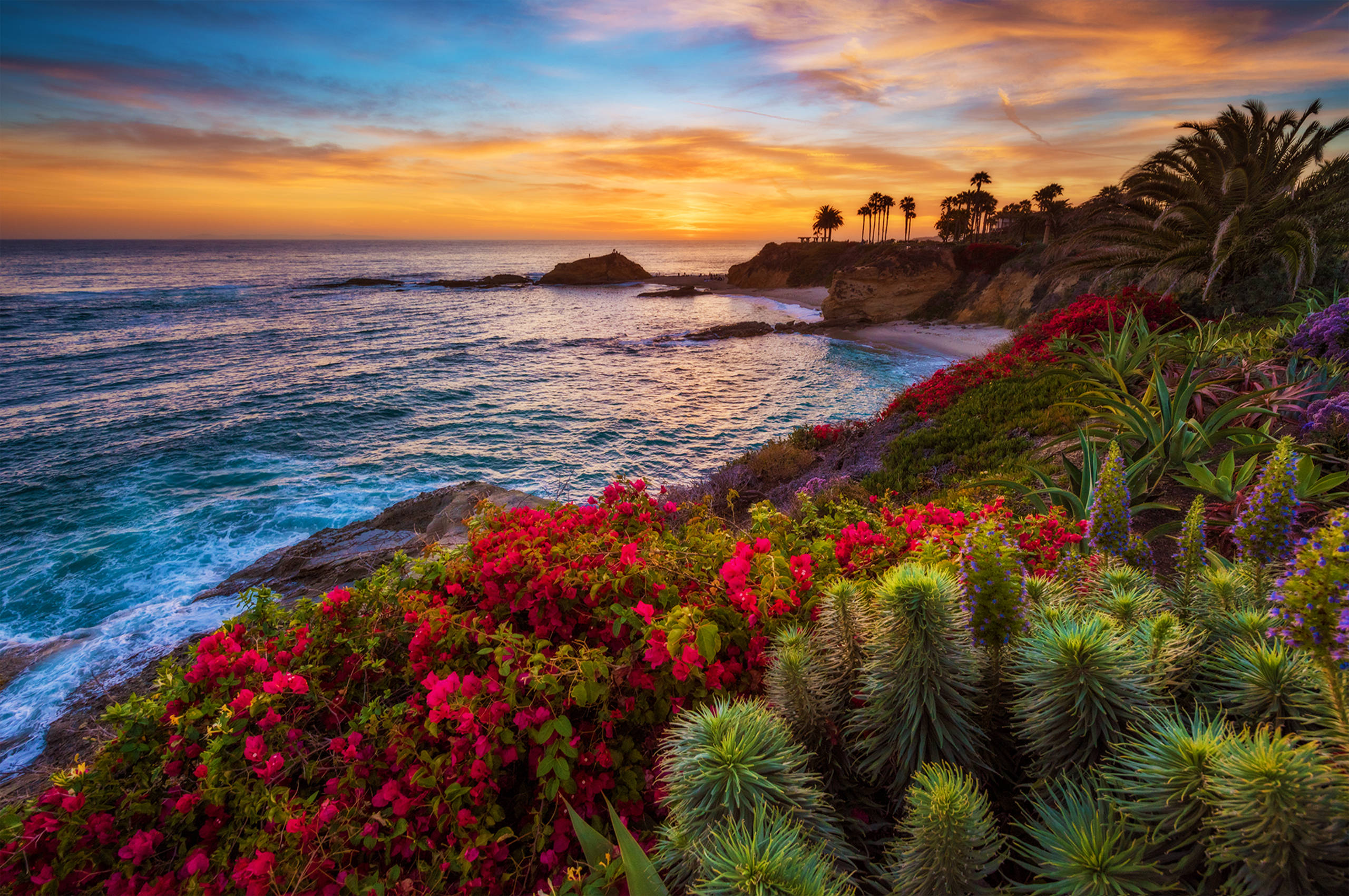 Cảnh Biển California Nhìn Ra Đại Dương Hình nền