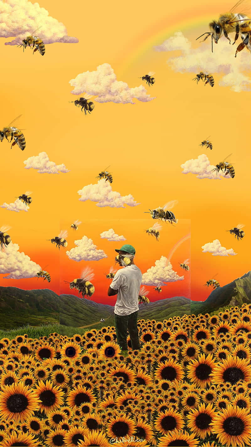 Cánh đồng hoa hướng dương Tyler The Creator Ảnh đại diện Hình nền