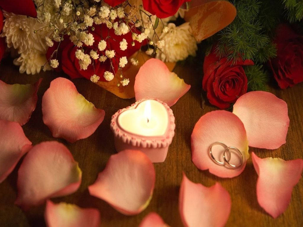 Cánh hoa Valentine Desktop Hình nền