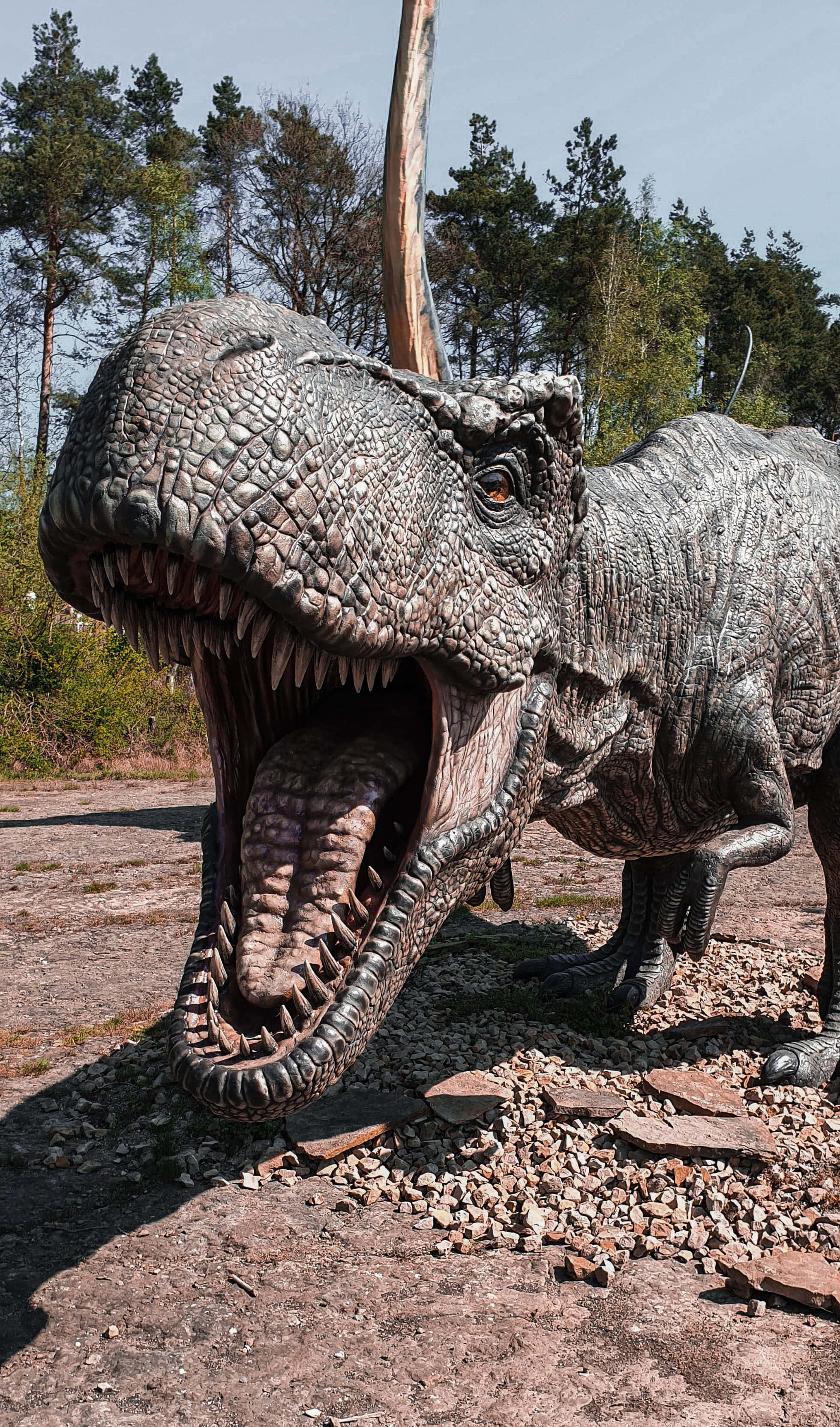 Cảnh Quan Hùng Vĩ của Một Chú Brachiosaurus Oai Phong Hình nền