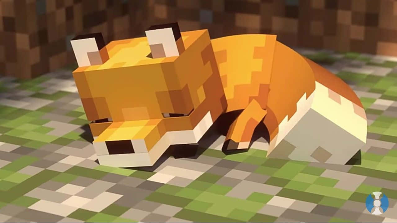 Cáo Minecraft Dễ Thương Đang Ngủ Hình nền