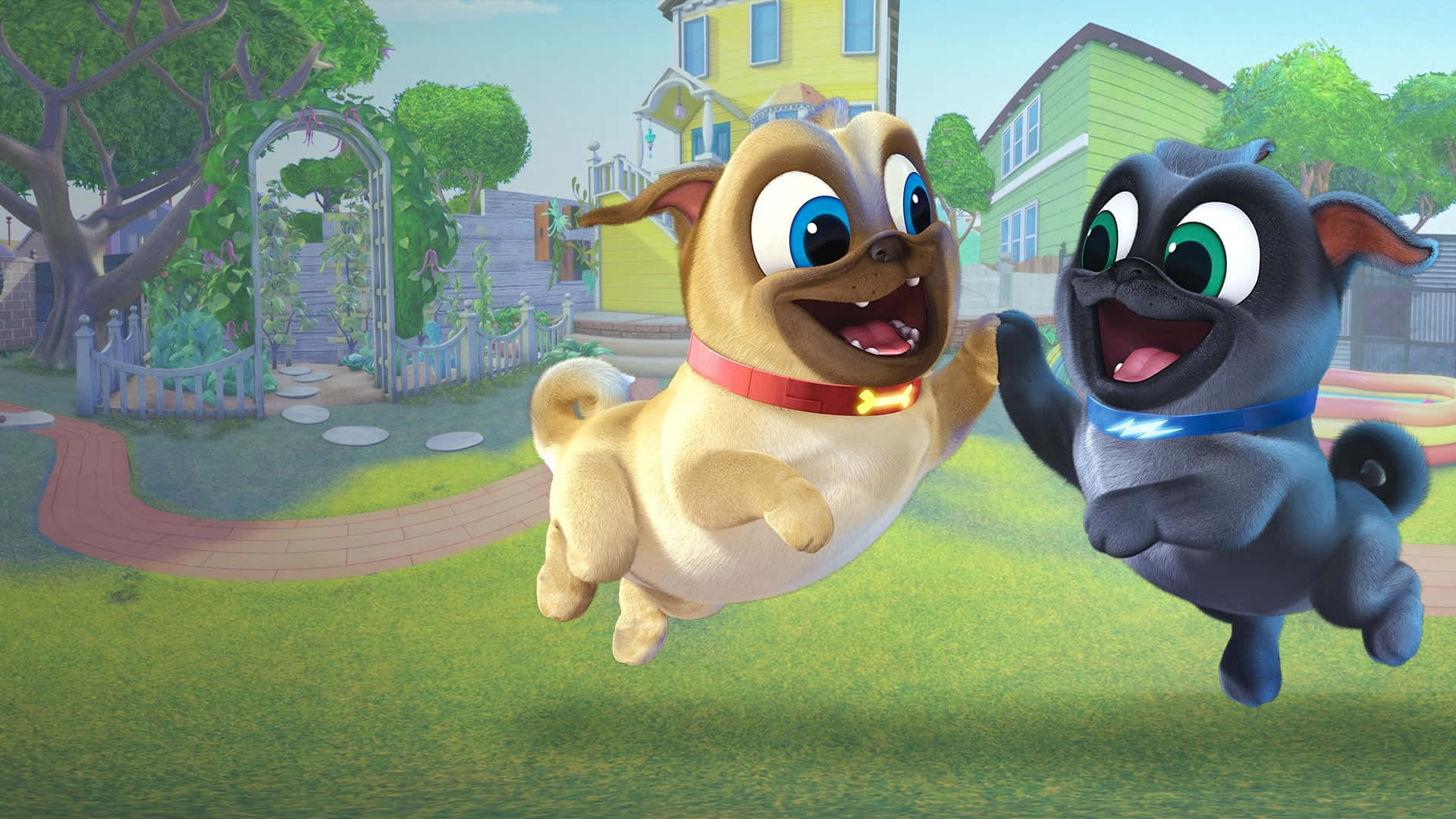 Cao Năm Chó Con Puppy Dog Pals Hình nền