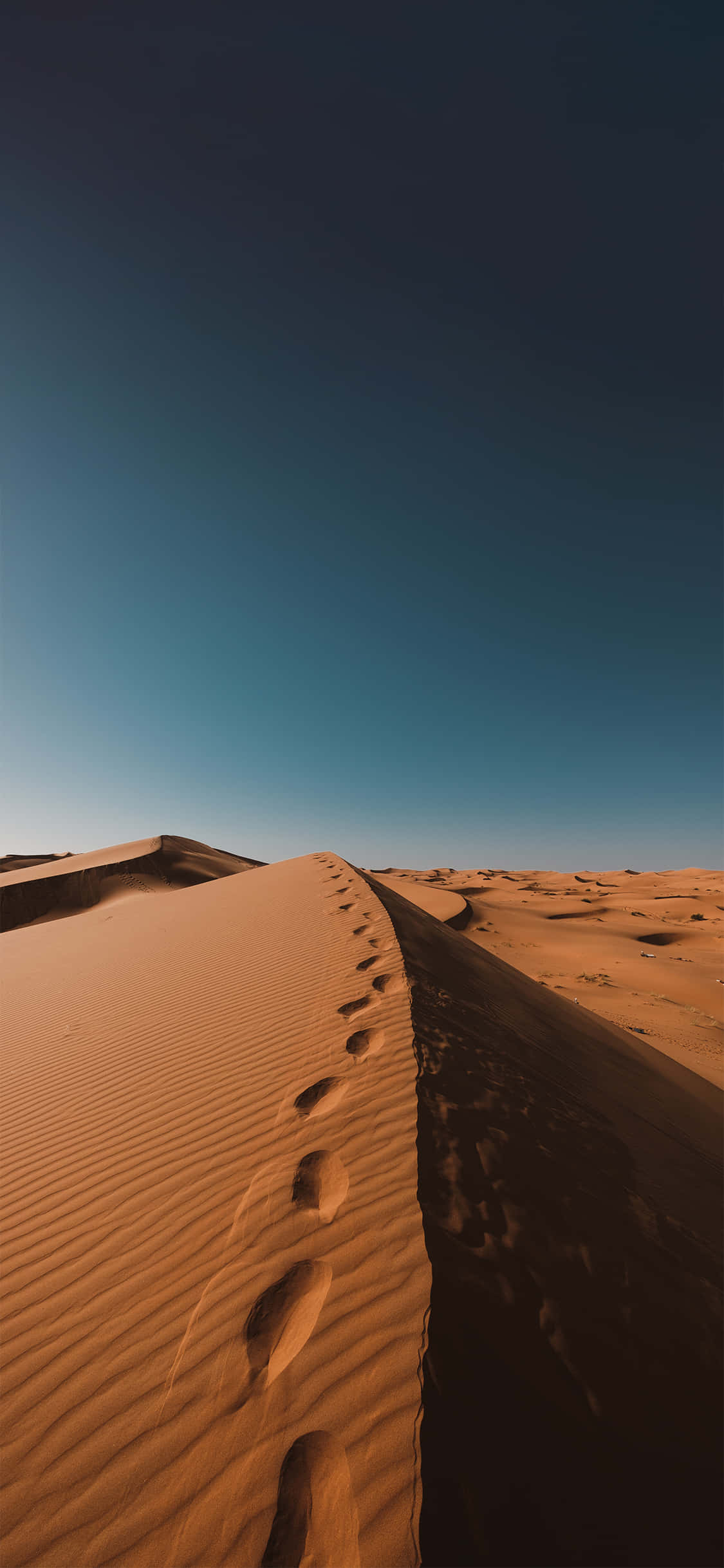 Cát mịn của sa mạc Sahara iPhone Hình nền