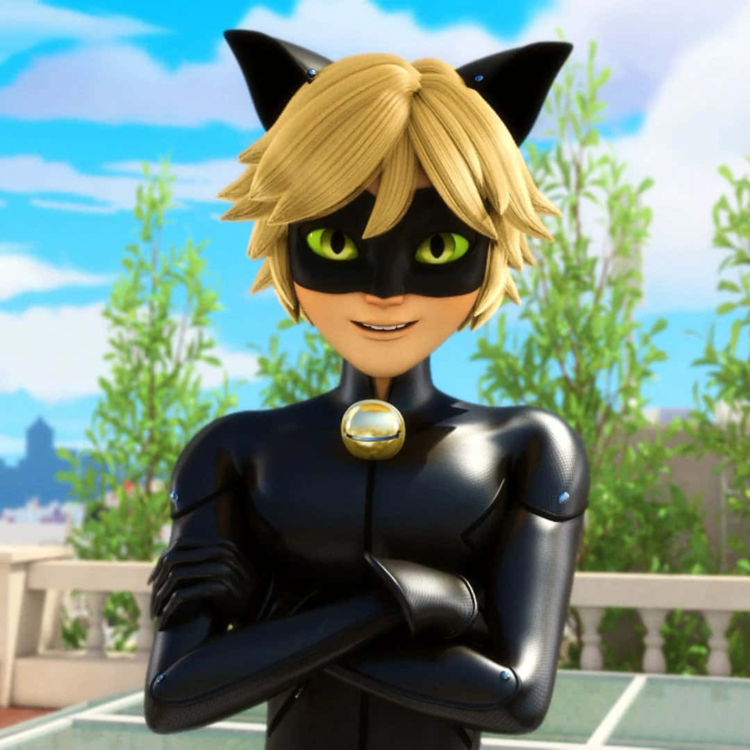 Cat Noir - Kẻ Bảo Vệ Bóng Đêm Hình nền