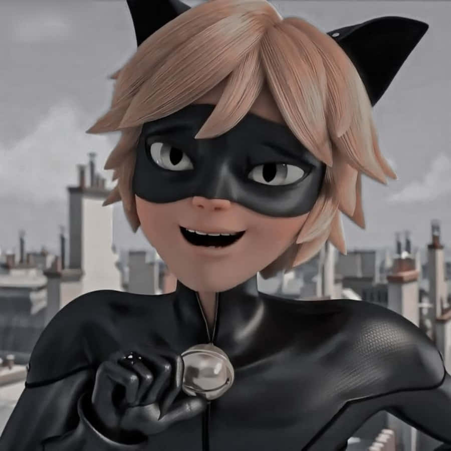 Cat Noir, Người bảo vệ Paris Hình nền