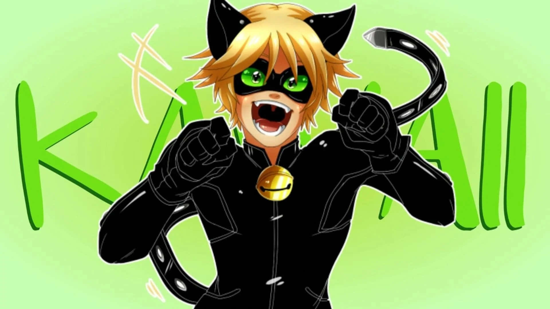 Cat Noir Rảo Bước Trên Lãnh Địa Hình nền