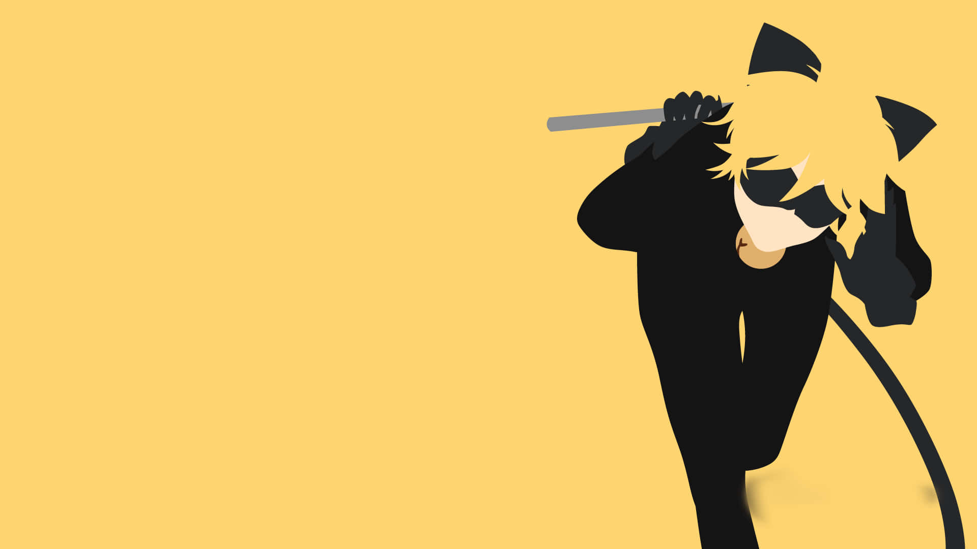Cat Noir Sẵn Sàng Cho Cuộc Phiêu Lưu Hình nền