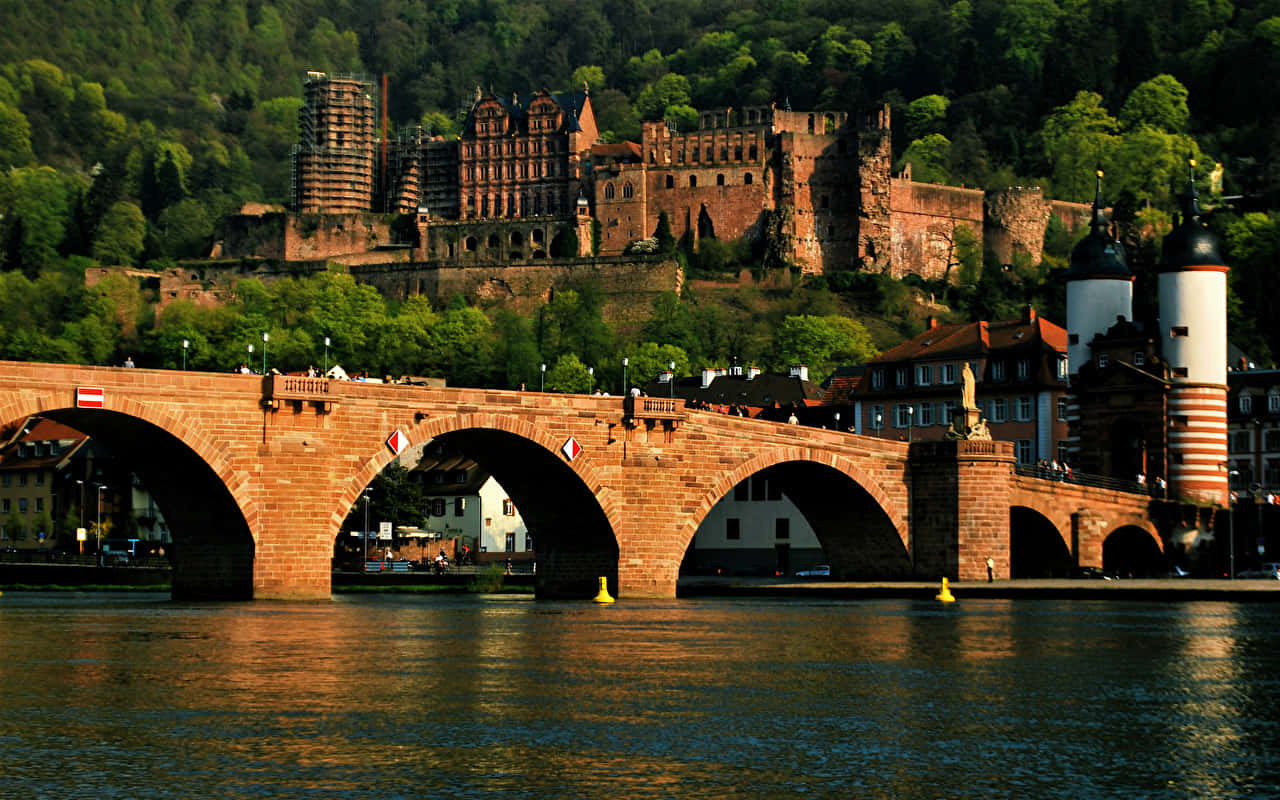 Cầu Cổ và Lâu đài Heidelberg Hình nền