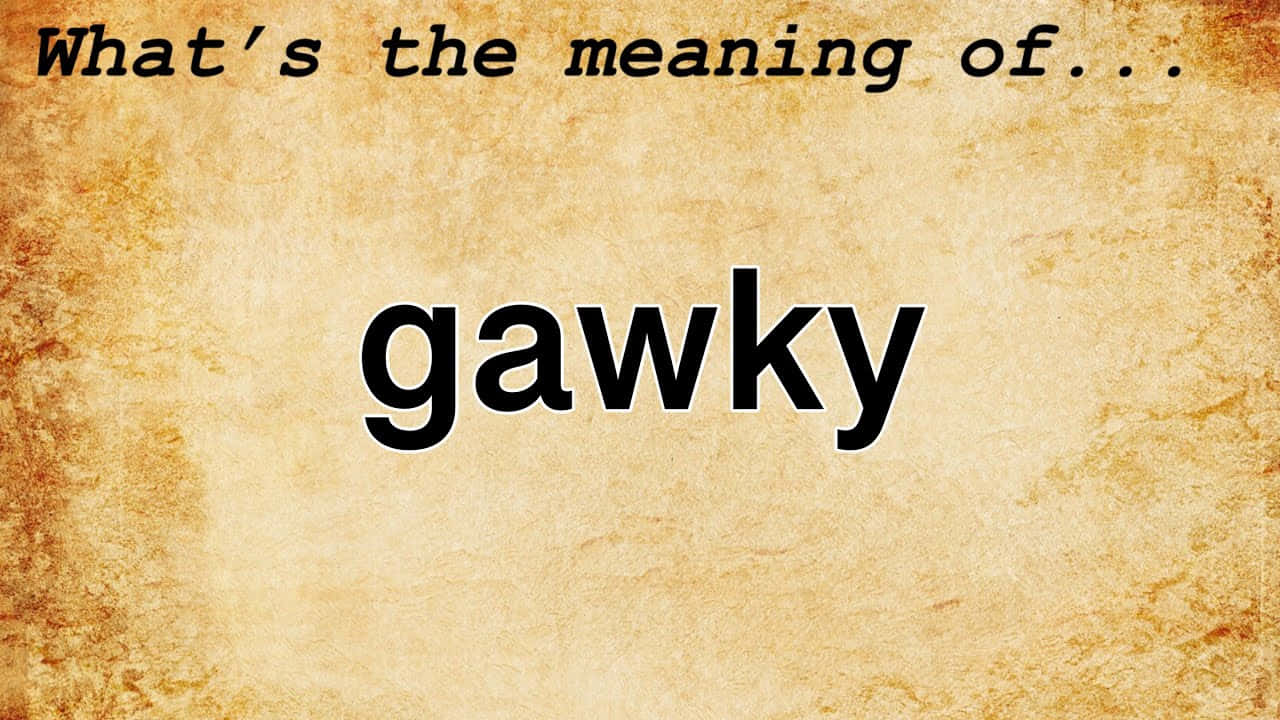 Câu hỏi về ý nghĩa của từ Gawky Hình nền