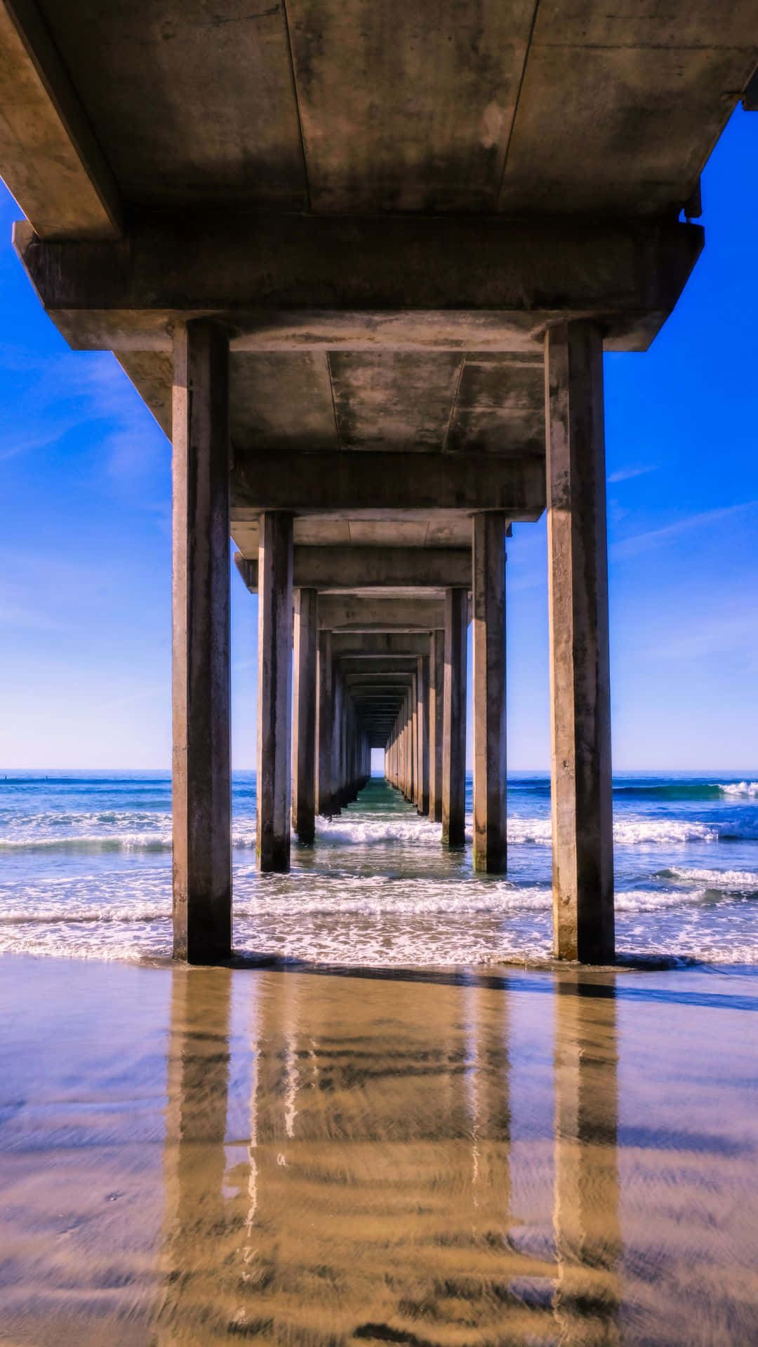Cầu tàu Scripps ở San Diego iPhone Hình nền