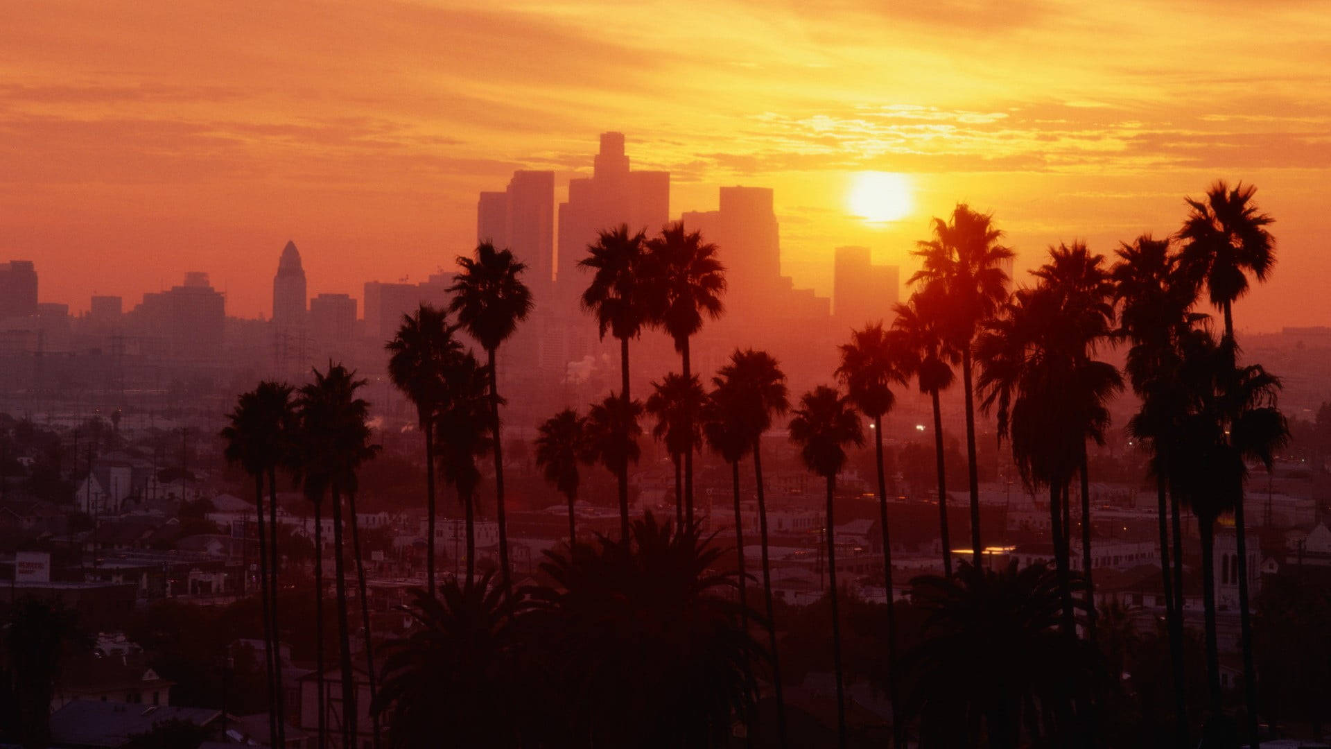 Cây Cọ Hoàng Hôn Đại Lộ Los Angeles Hình nền