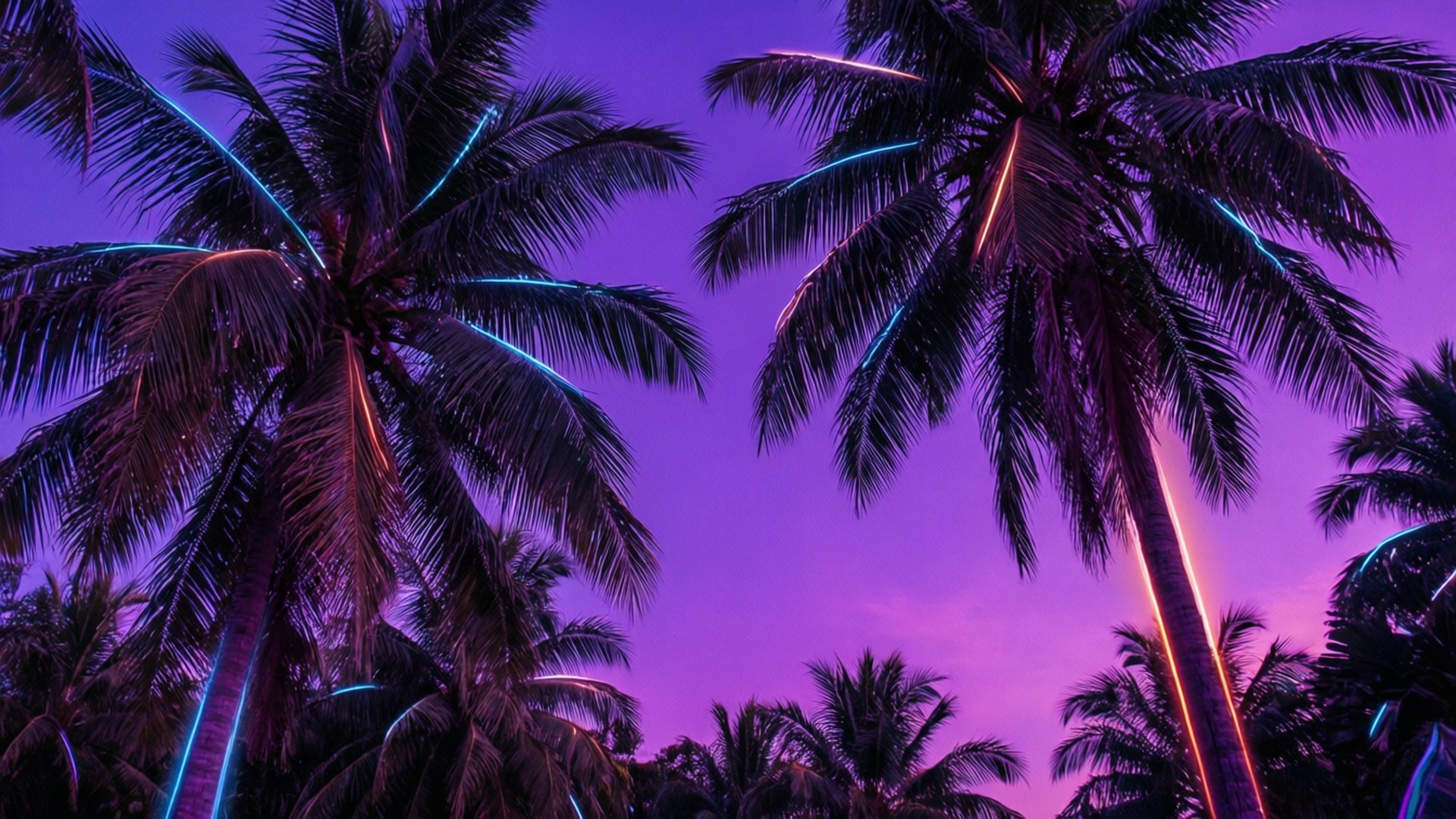 Cây Cọ Neon Hình nền