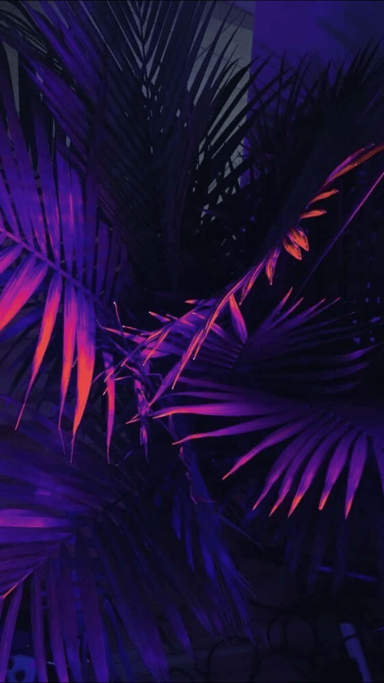 Cây Cọ Neon Nền Tím Thẩm Mỹ Hình nền