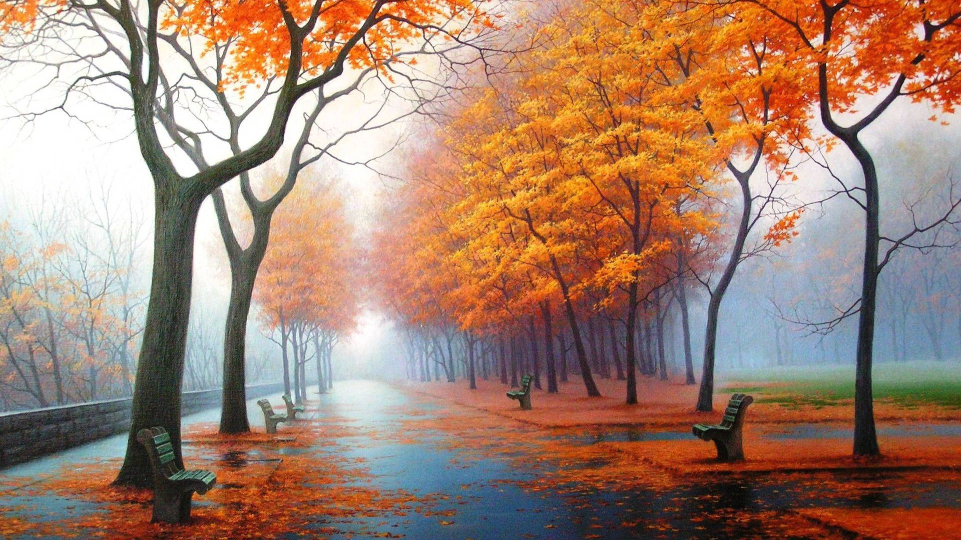 Cây lá cam trong thiên nhiên Full HD 1920x1080 Hình nền