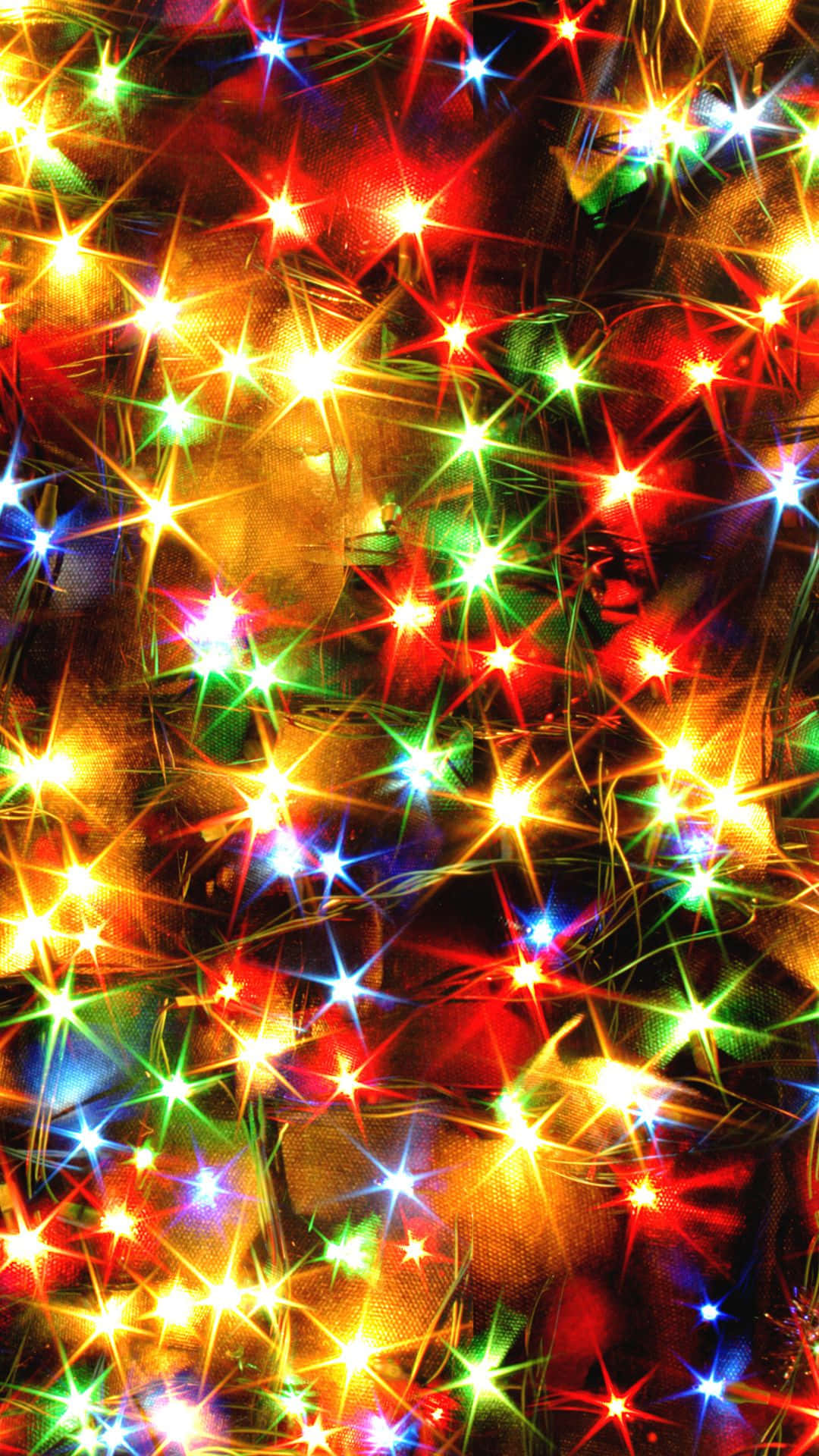 Cây thông Noel có đèn trên đó Hình nền