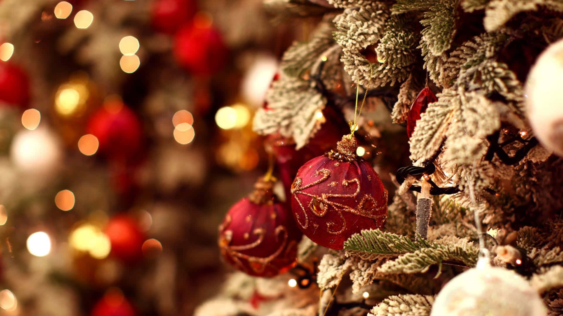 Cây thông Noel được trang trí với đèn và quả châu Hình nền