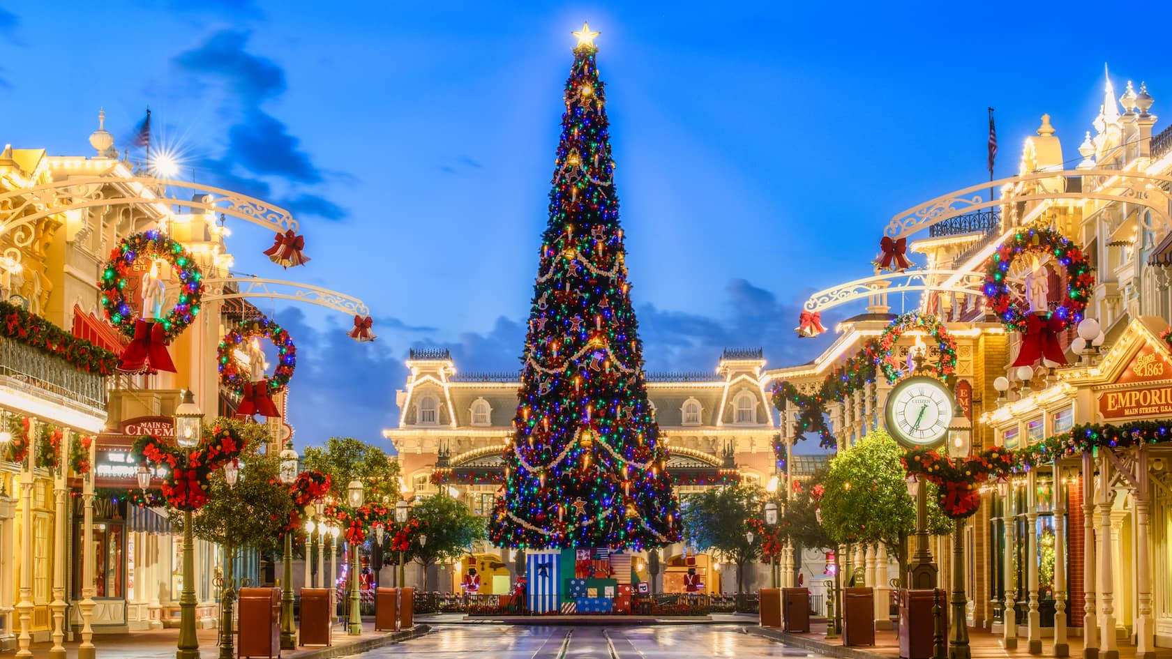 Cây thông Noel Disneyworld Hình nền