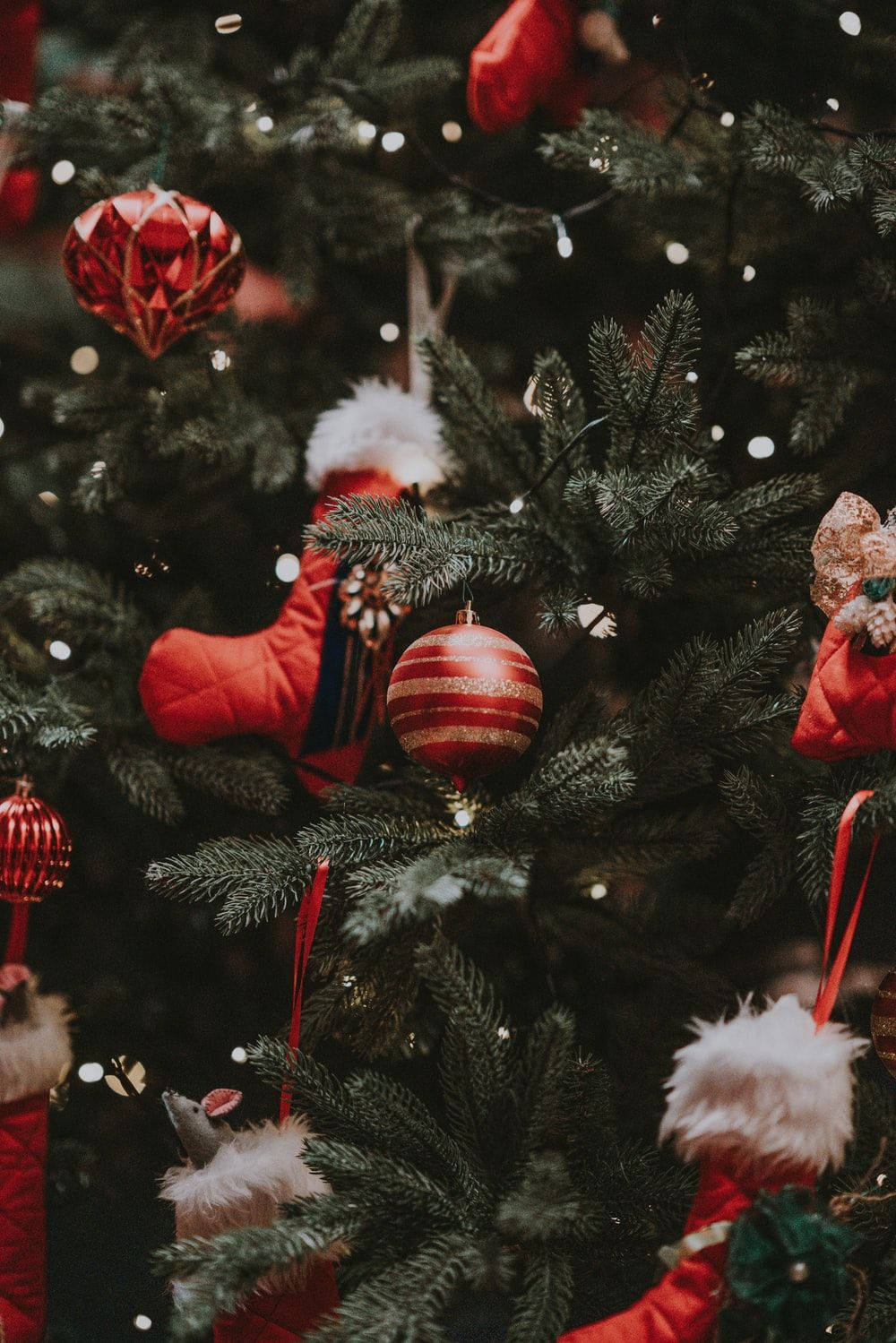 Cây Thông Noel Dễ Thương Phong Cách Thẩm Mỹ Chủ Đề Đỏ Hình nền