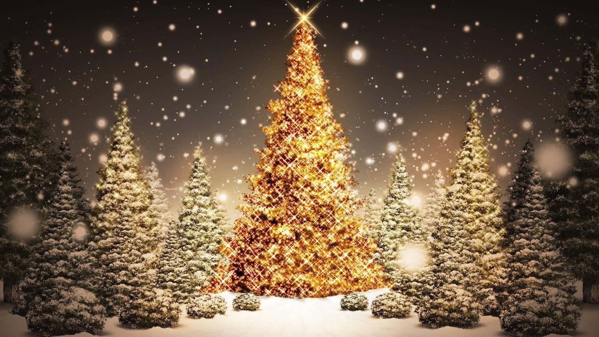 Cây thông Noel hoàn hảo để thắp sáng ngôi nhà của bạn Hình nền