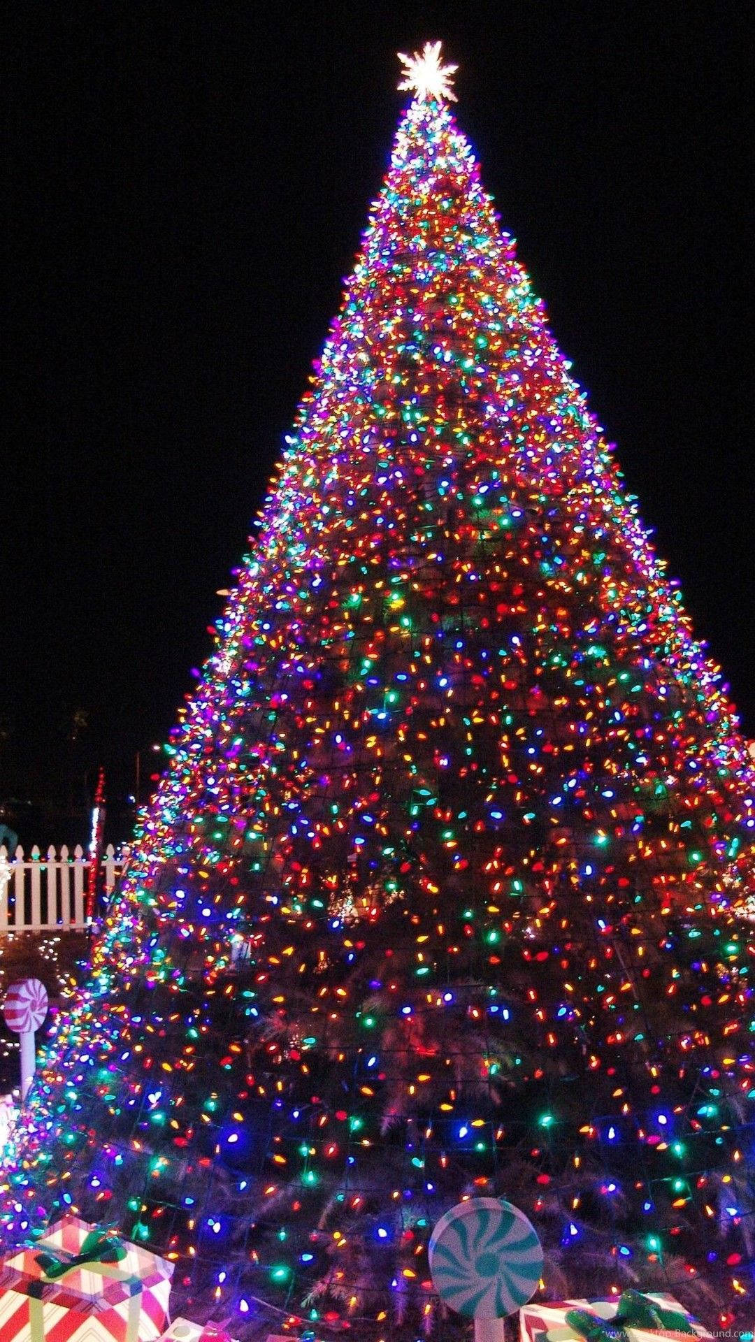 Cây Thông Noel Khổng Lồ Dễ Thương Thẩm Mỹ Hình nền