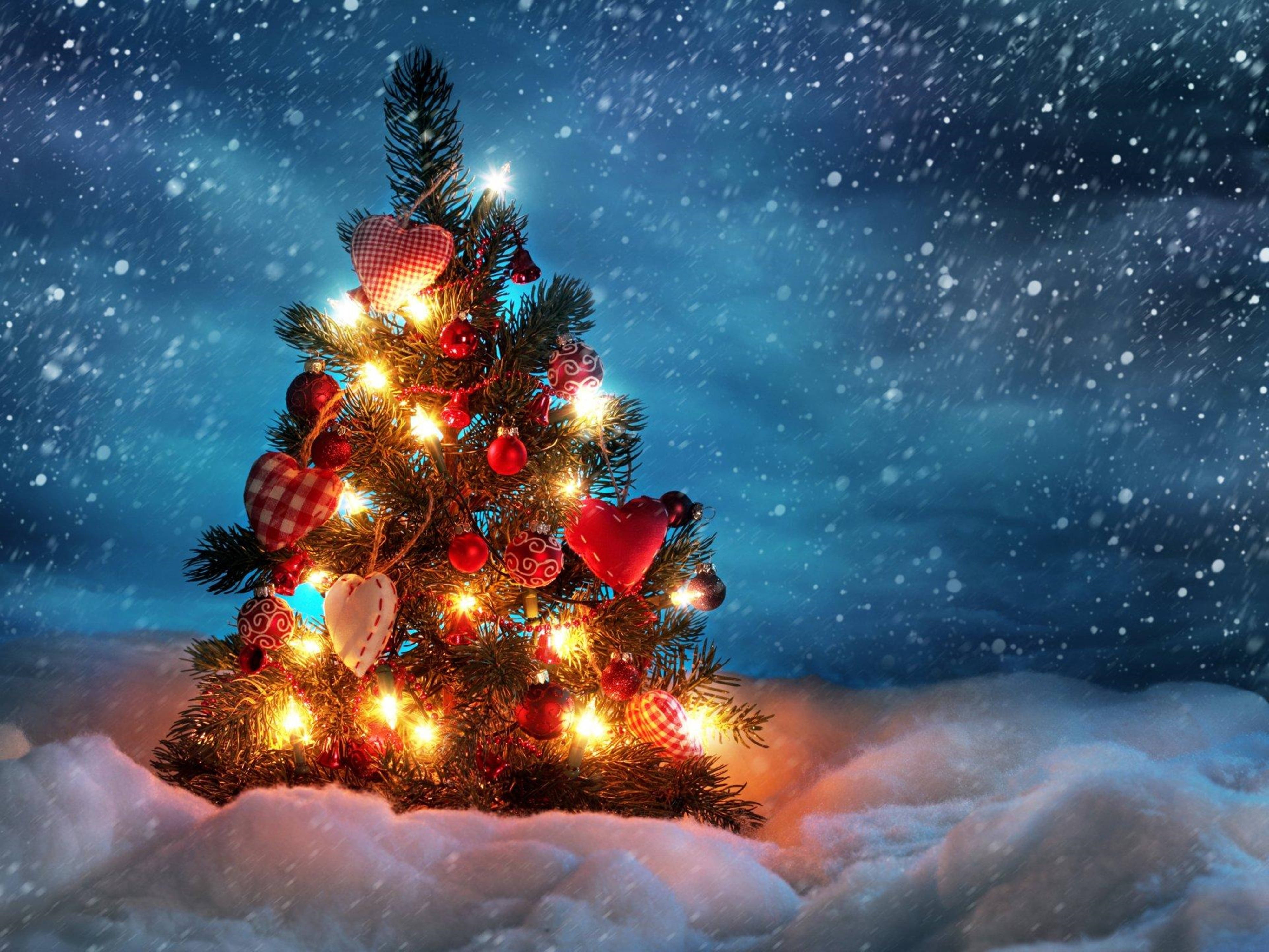 Cây Thông Noel Mùa Đông 4K Siêu Nét Hình nền