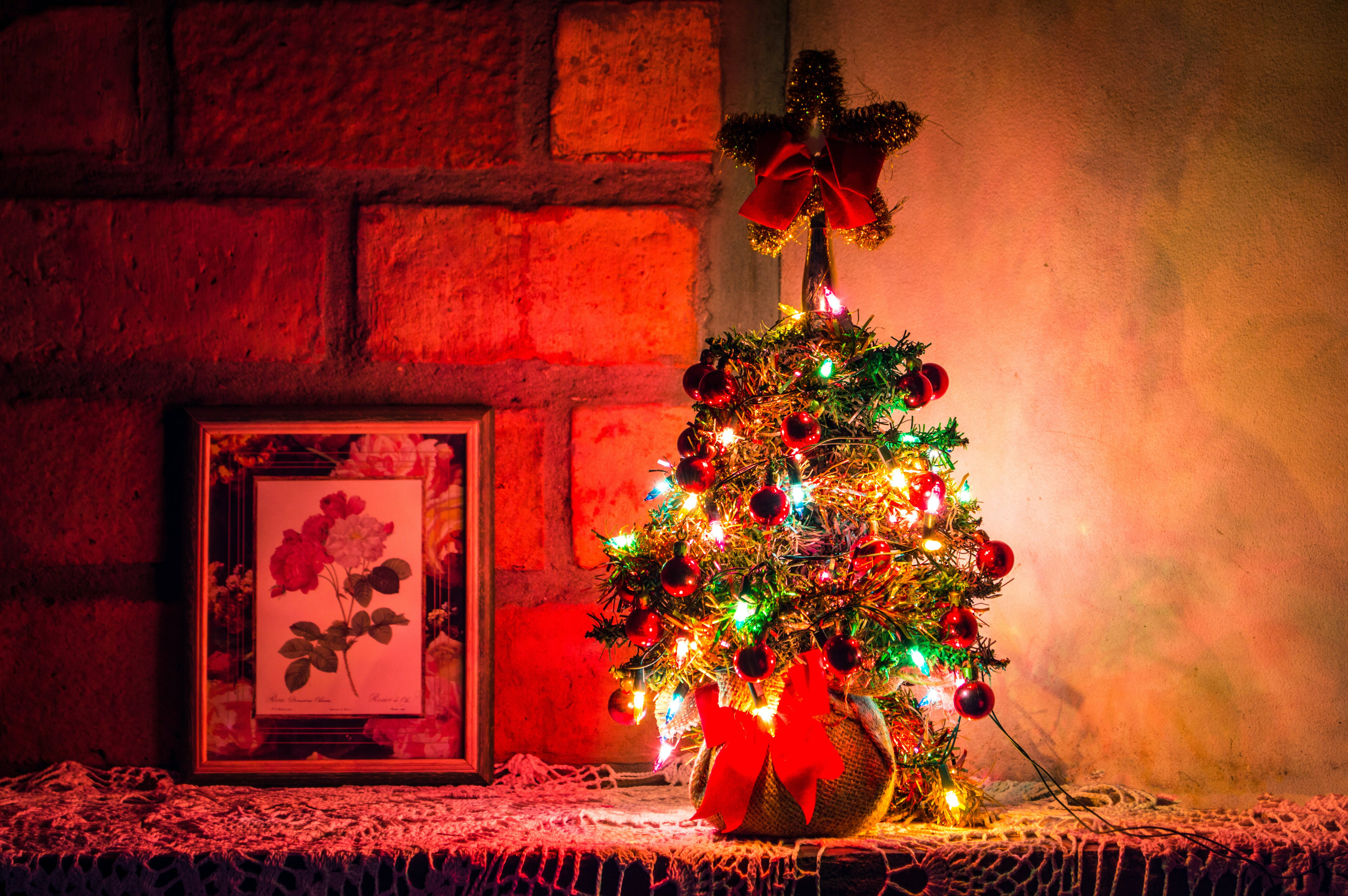 Cây thông Noel mini độ phân giải cao Hình nền