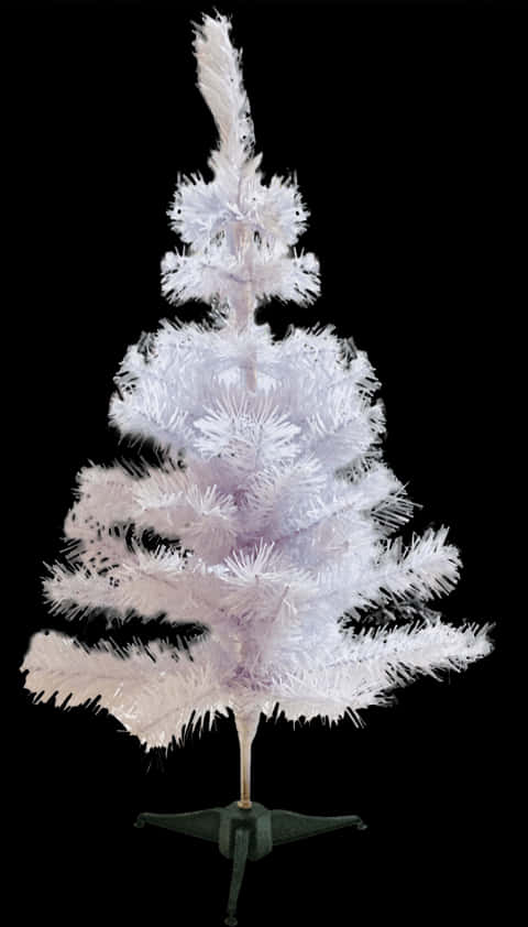 Cây thông Noel nhân tạo màu trắng Hình nền