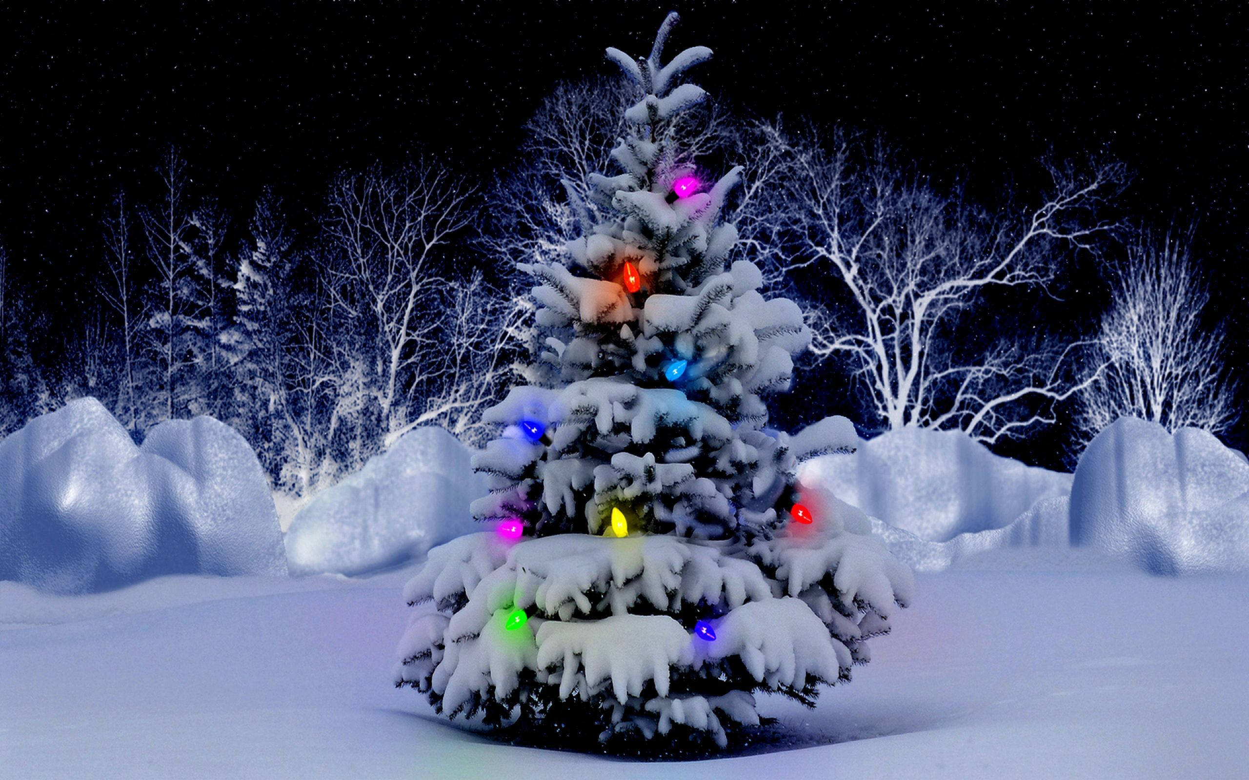 Cây thông Noel phủ tuyết cho desktop Hình nền