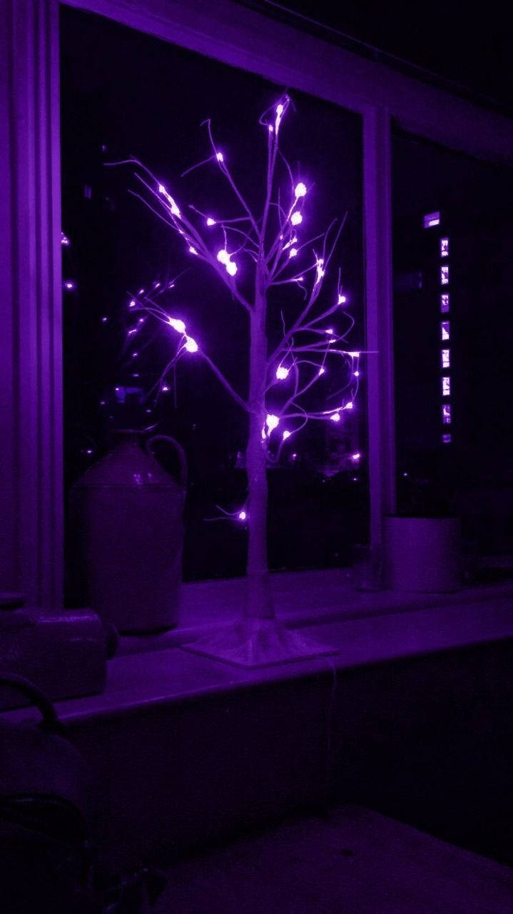 Cây thông Noel tím và đen thẩm mỹ Hình nền