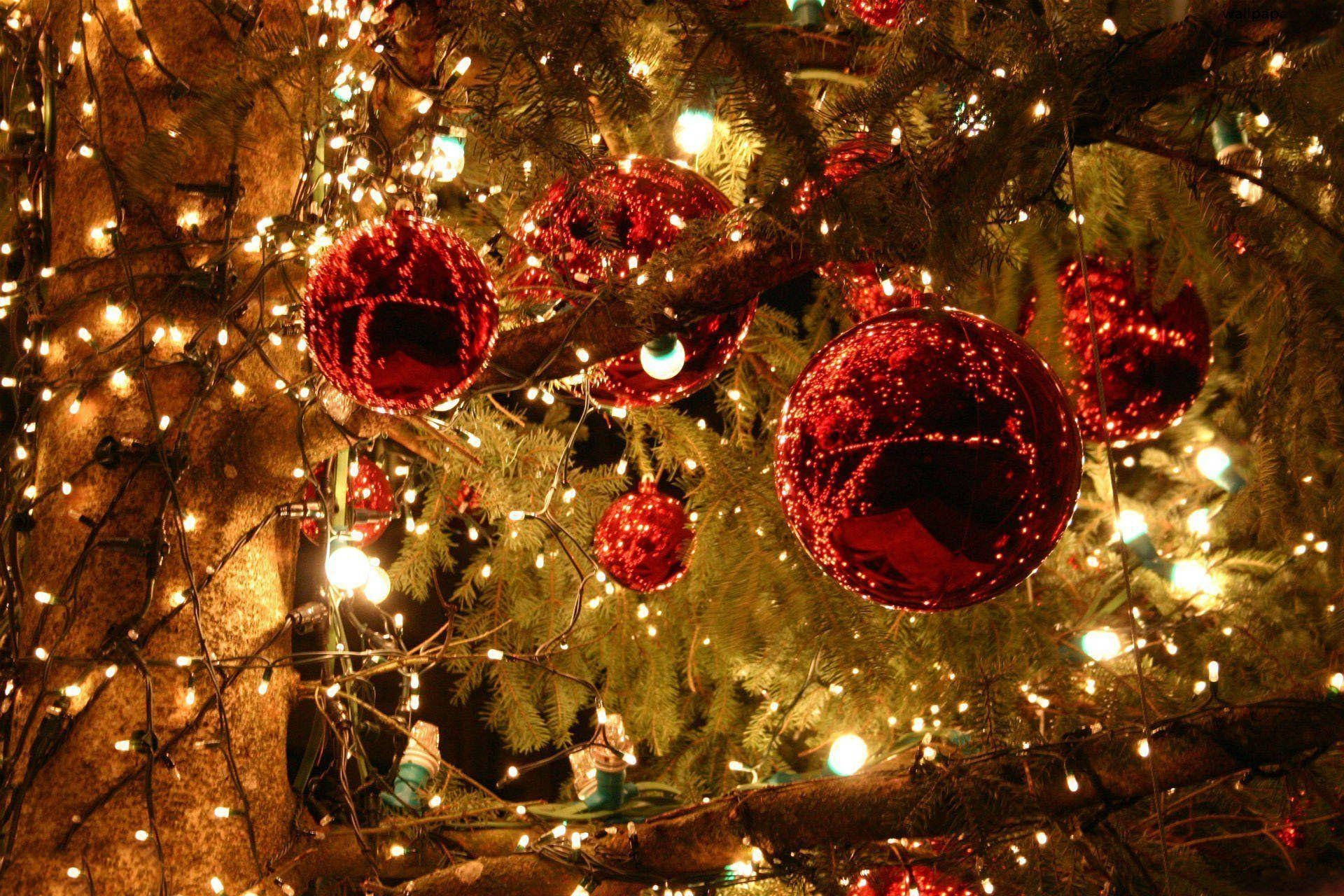 Cây thông Noel thẩm mỹ với đèn lễ hội Hình nền