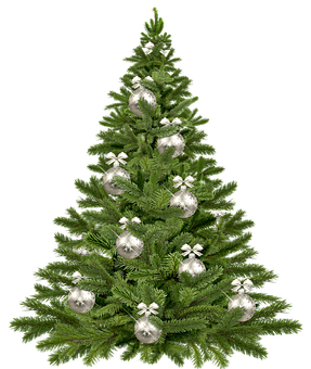 Cây thông Noel trang trí trên nền đen Hình nền