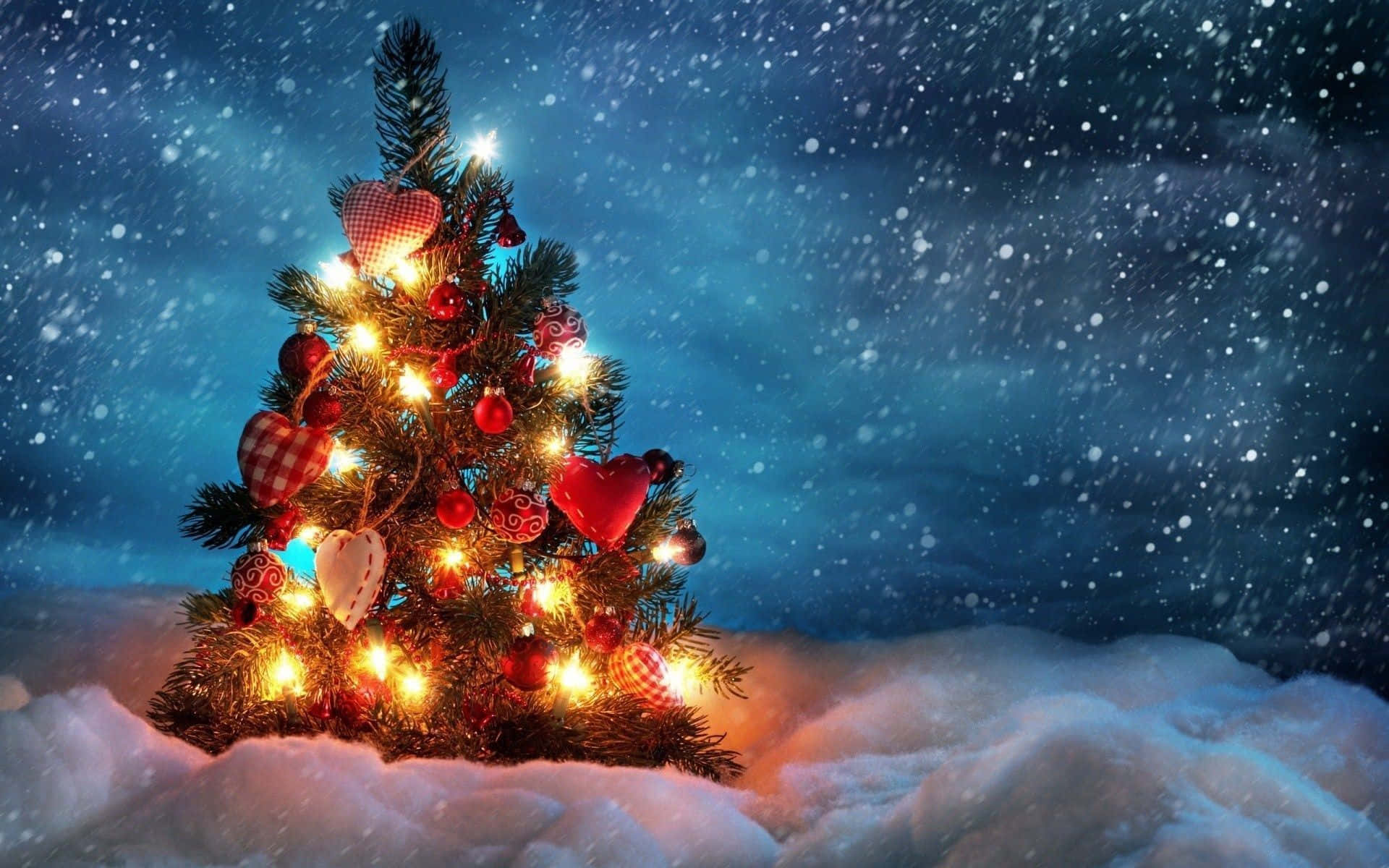 Cây thông Noel trong đêm tuyết rơi miễn phí Hình nền