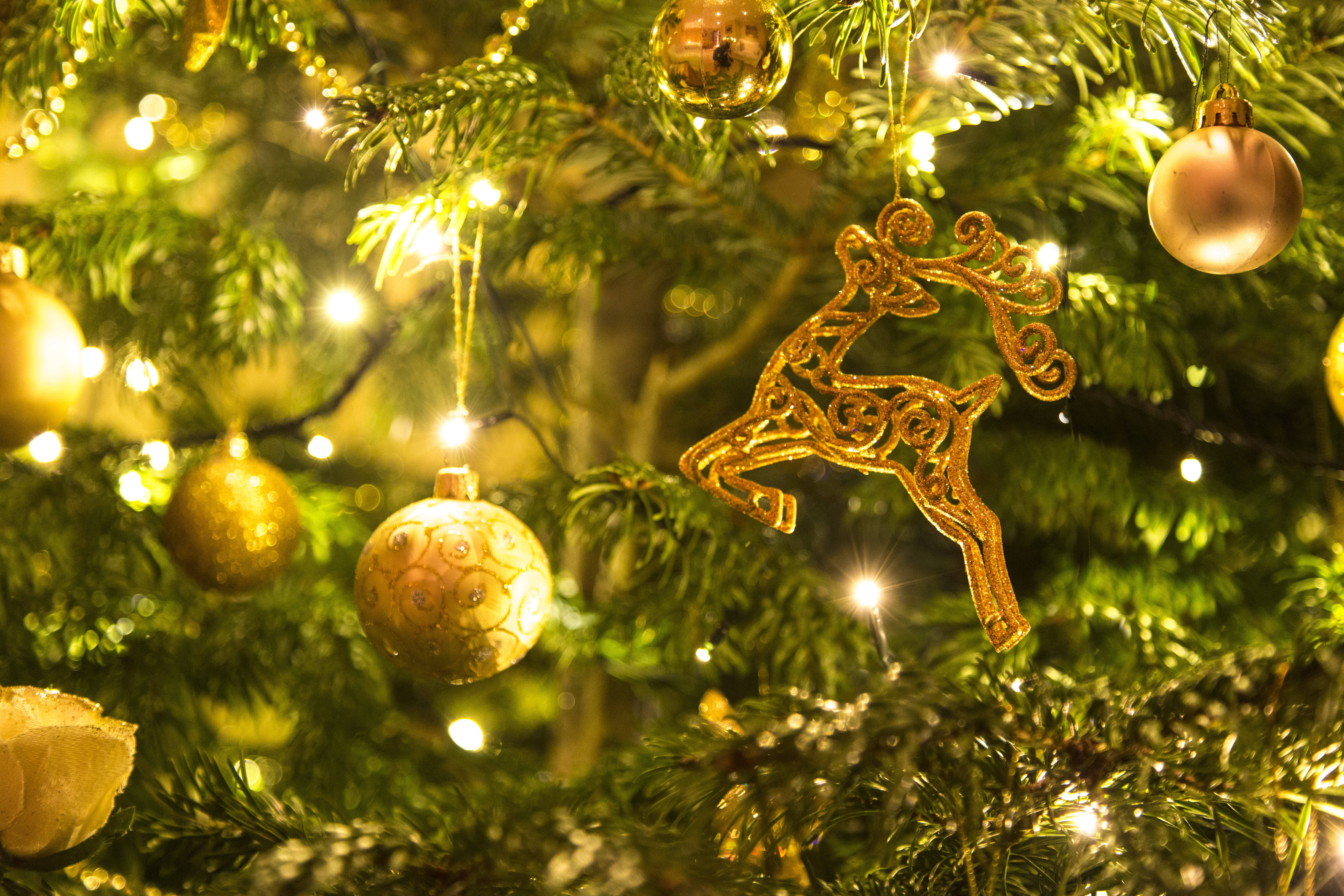 Cây thông Noel với đồ trang trí vàng Hình nền