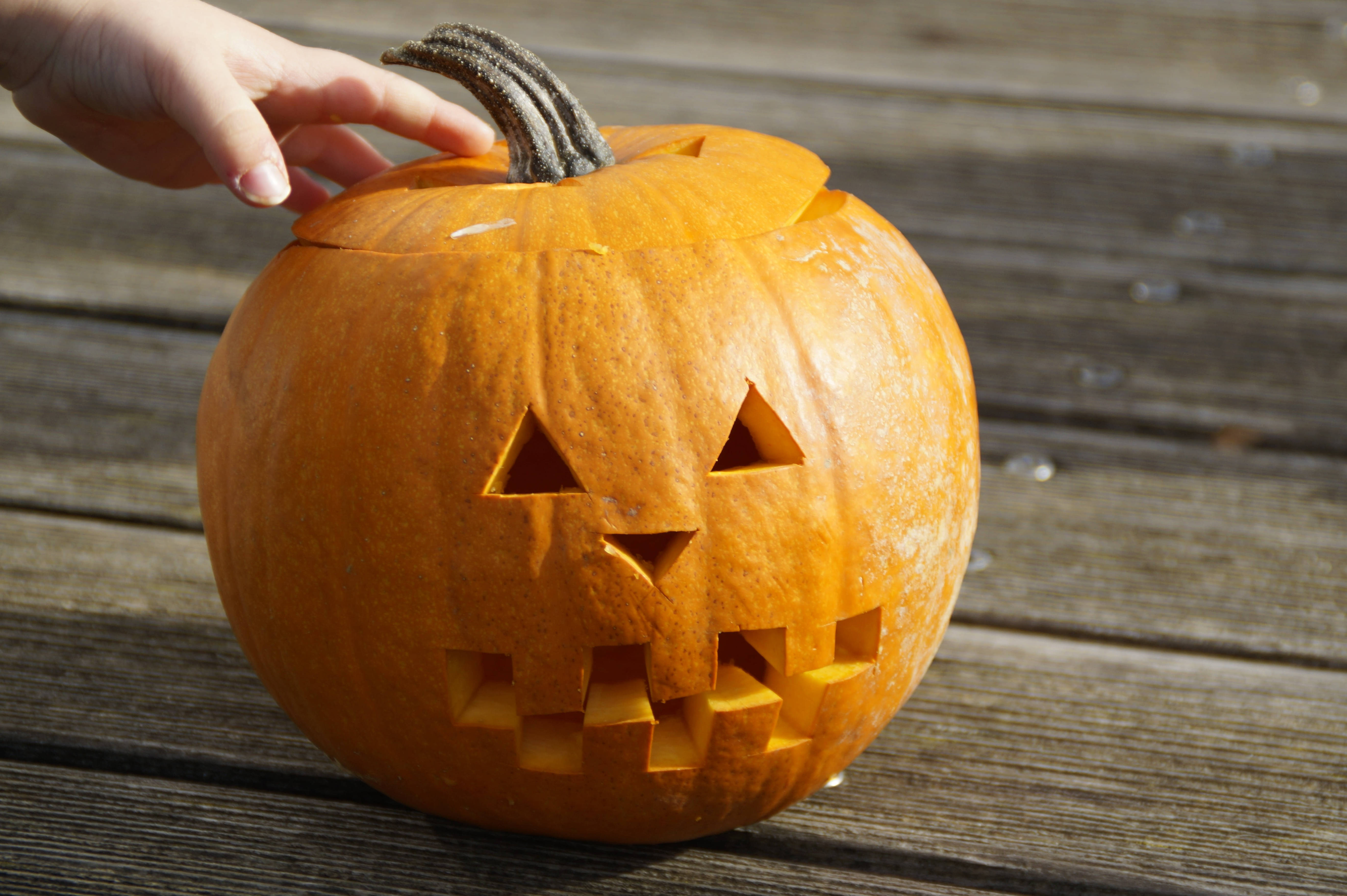 Chạm vào Quả Bí Ngô Halloween Dễ Thương Hình nền