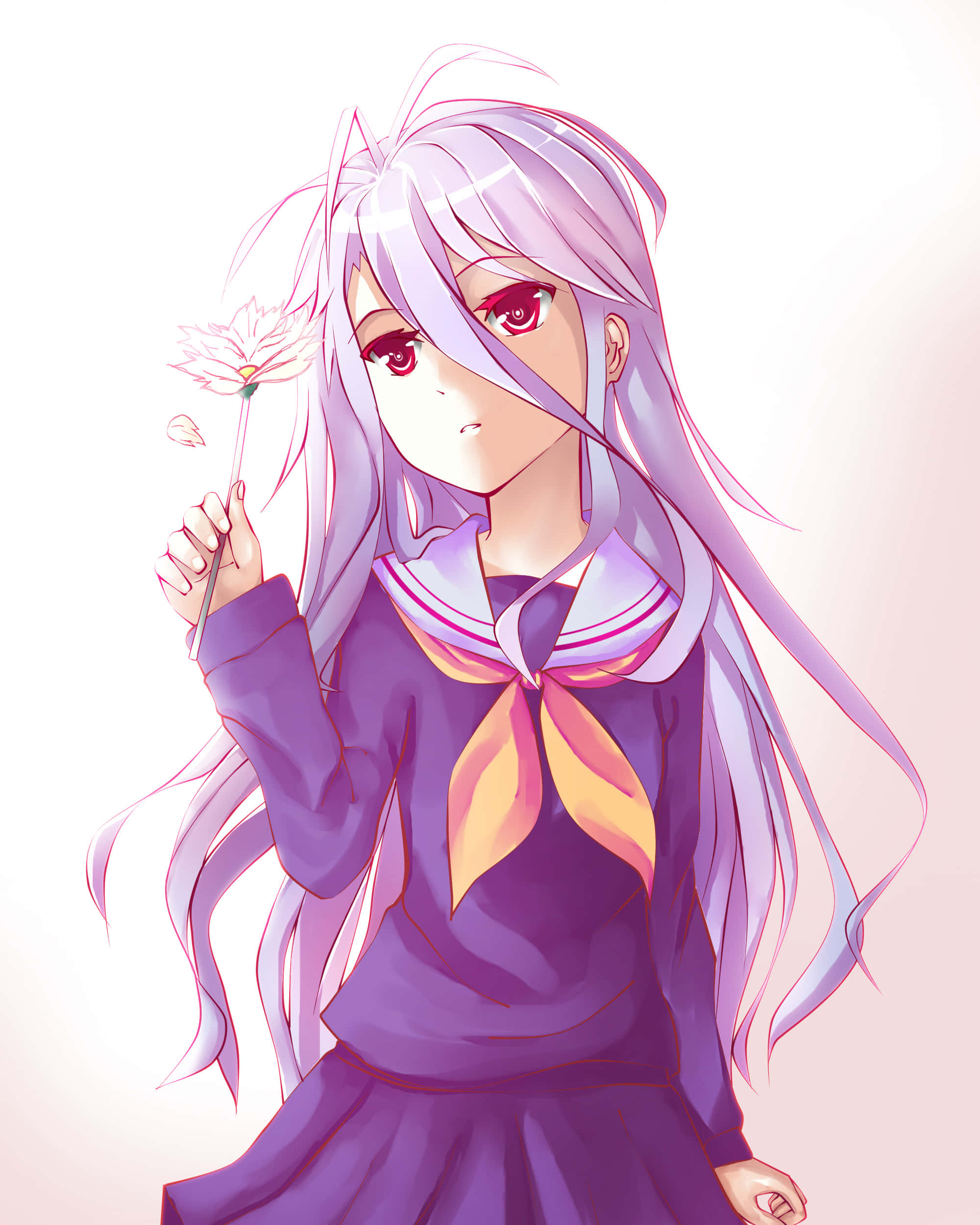Chào Mừng Đến Với Thế Giới Của No Game No Life Hình nền