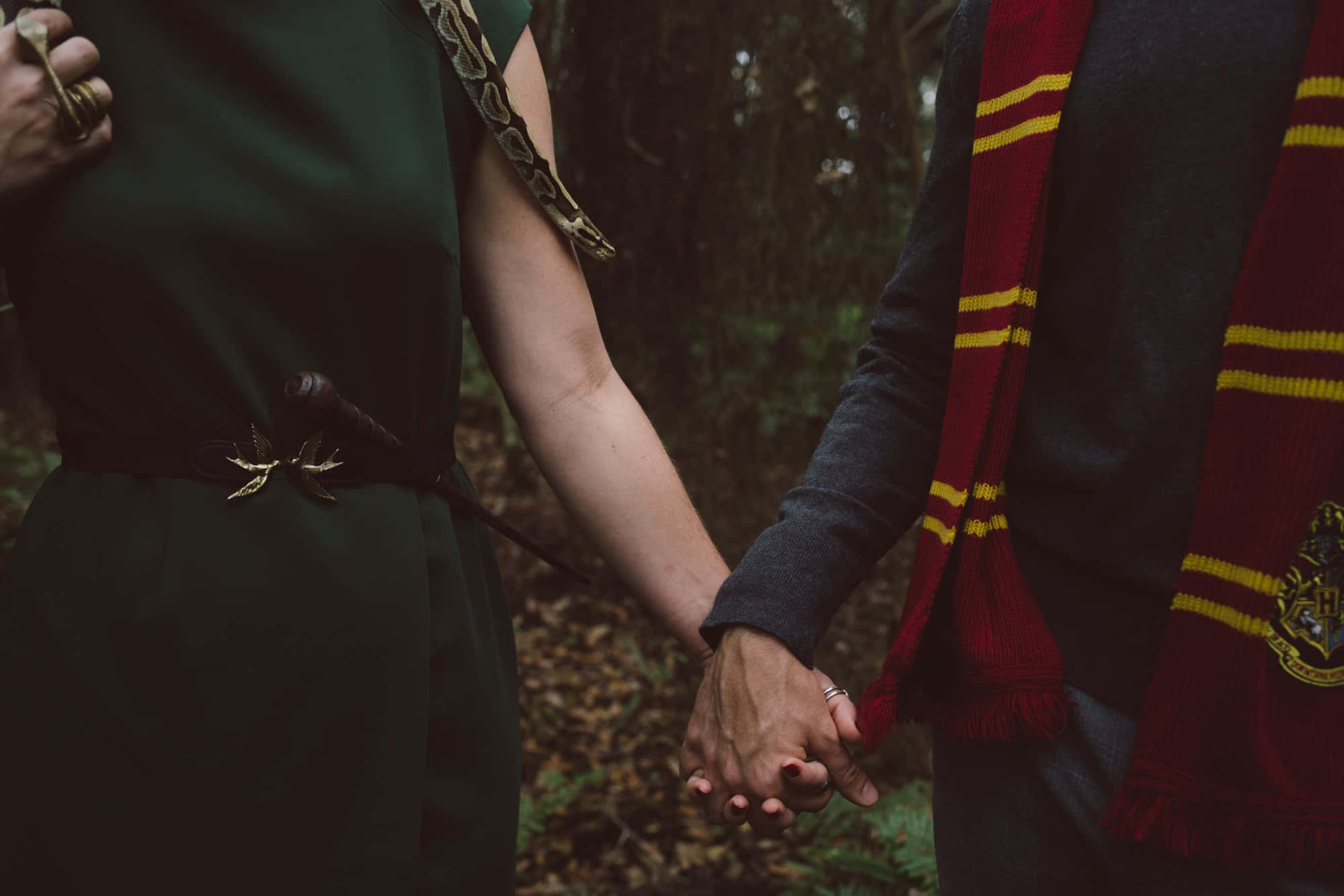 Chào mừng đến với phong cách Slytherin, hãy ôm lấy con rắn trong bạn! Hình nền