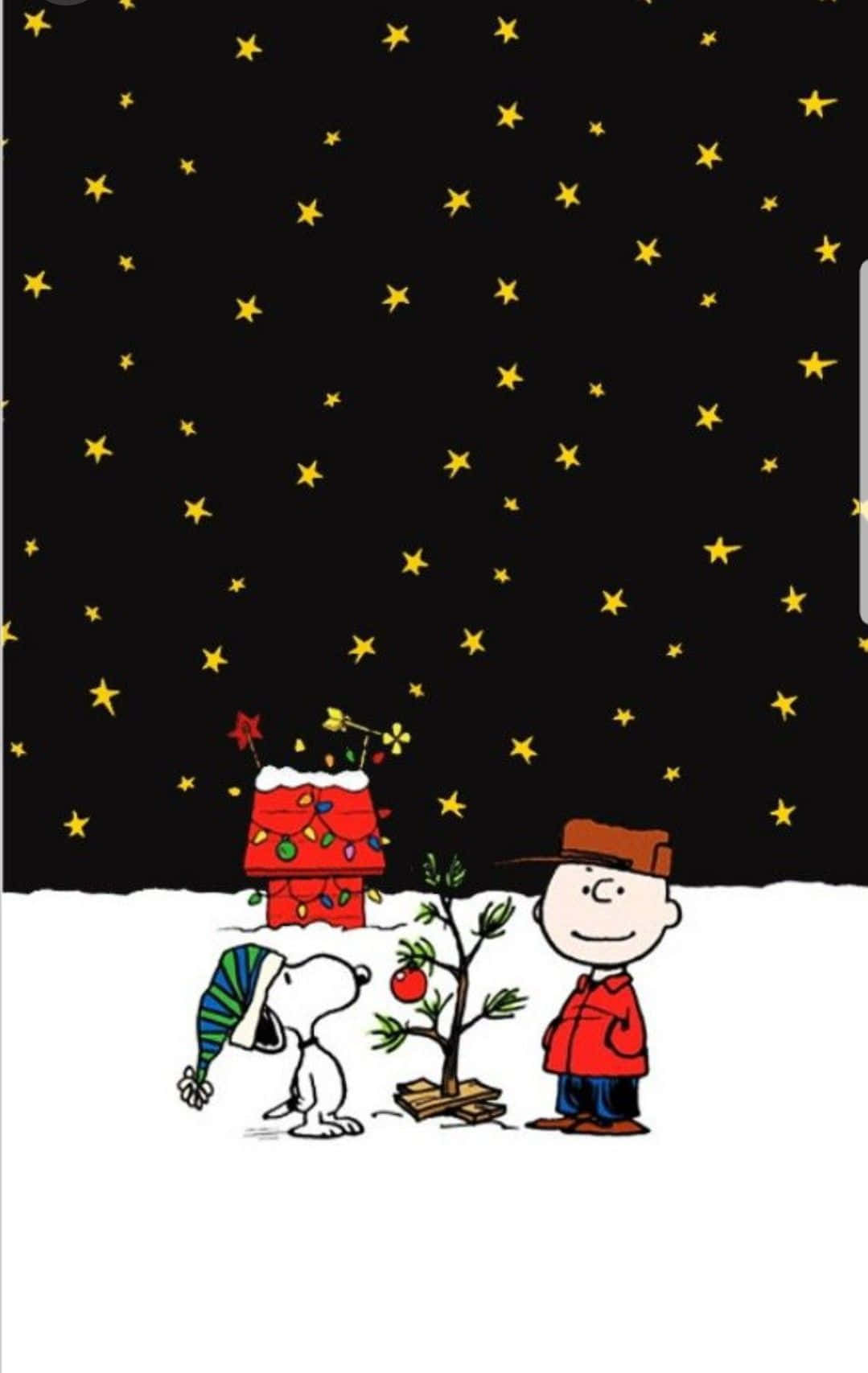 Charlie Brown Đêm Giáng Sinh Đầy Sao Hình nền