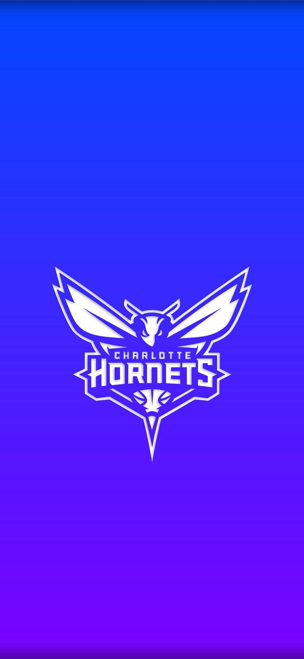 Charlotte Hornets Gradient Blue Hình nền